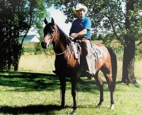Person riding a brown horse in a grassy area with trees and a building in the background.