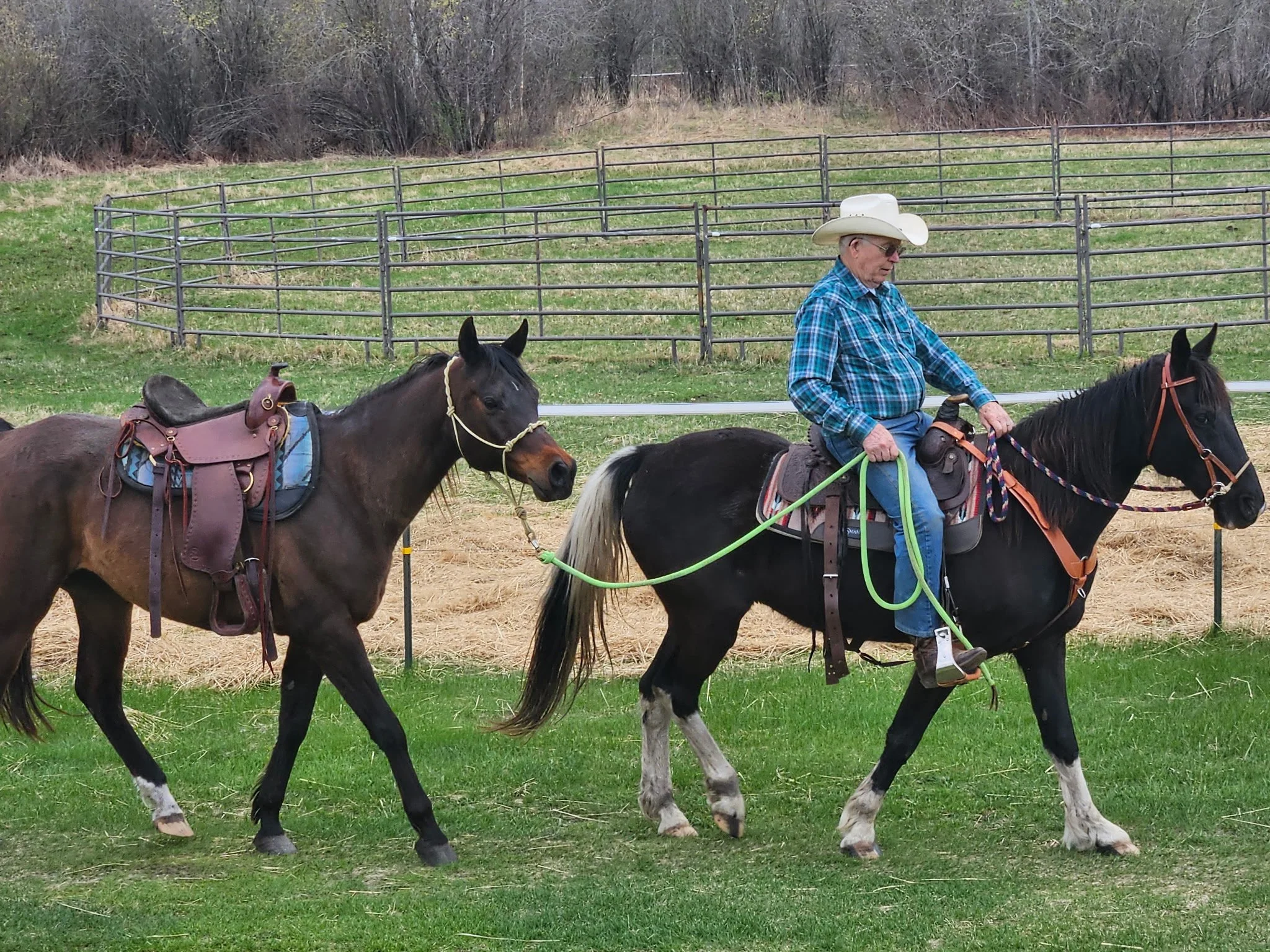 A man wearing a cowboy hat riding a black and white horse, with another brown horse walking behind him on a grassy field surrounded by a wooden fence.