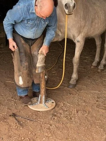 A man using a hoof stand to elevate a horse's hoof for cleaning or inspection.