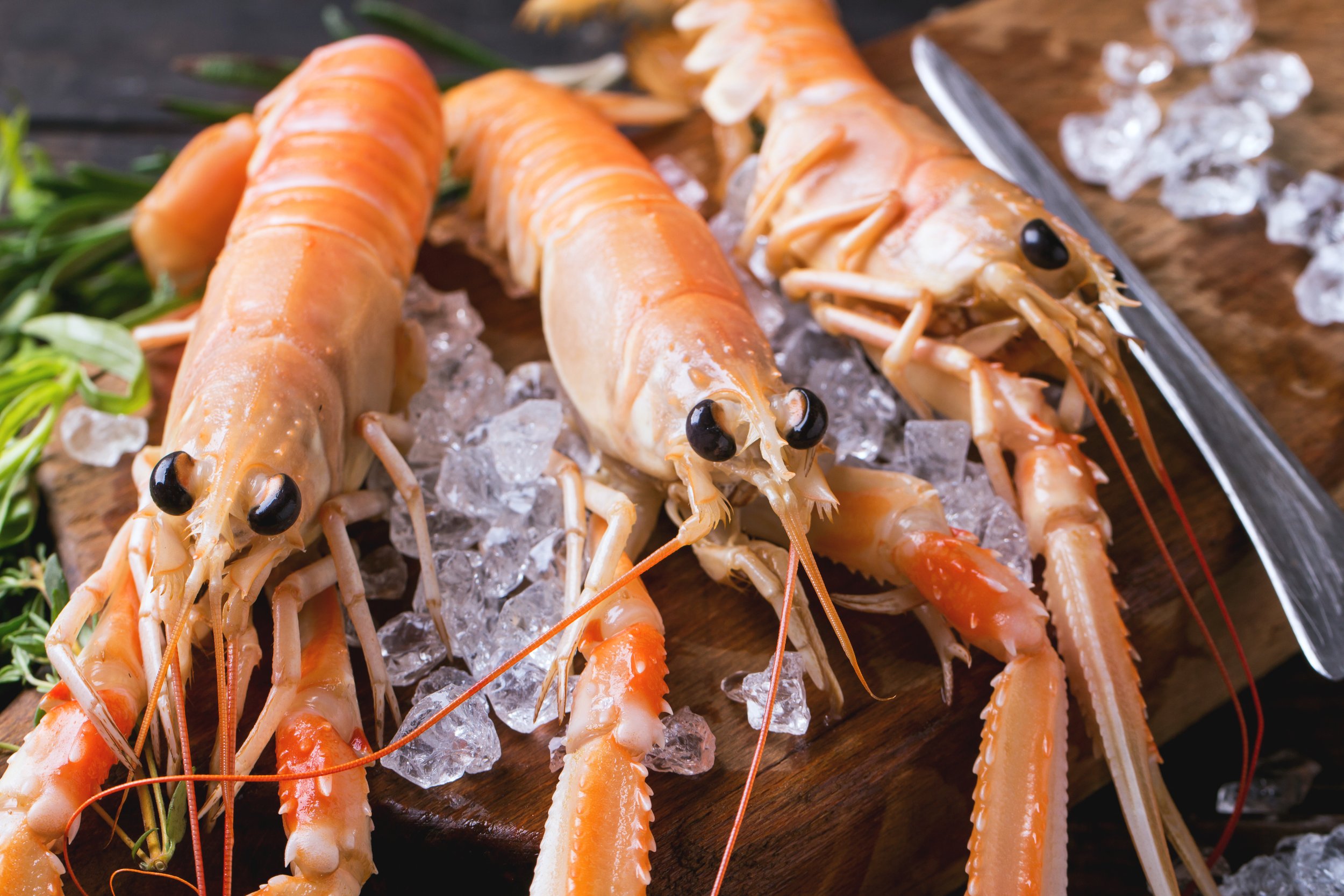 Three raw langoustines on a bed of ice on a wooden board, with a knife beside them.