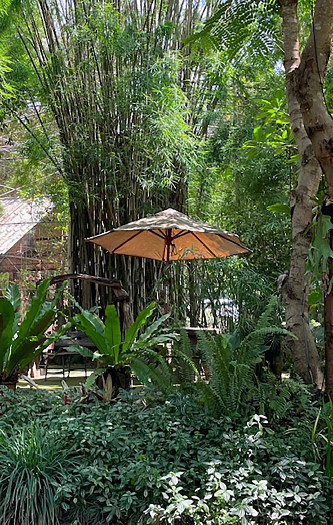 Umbrella in garden setting