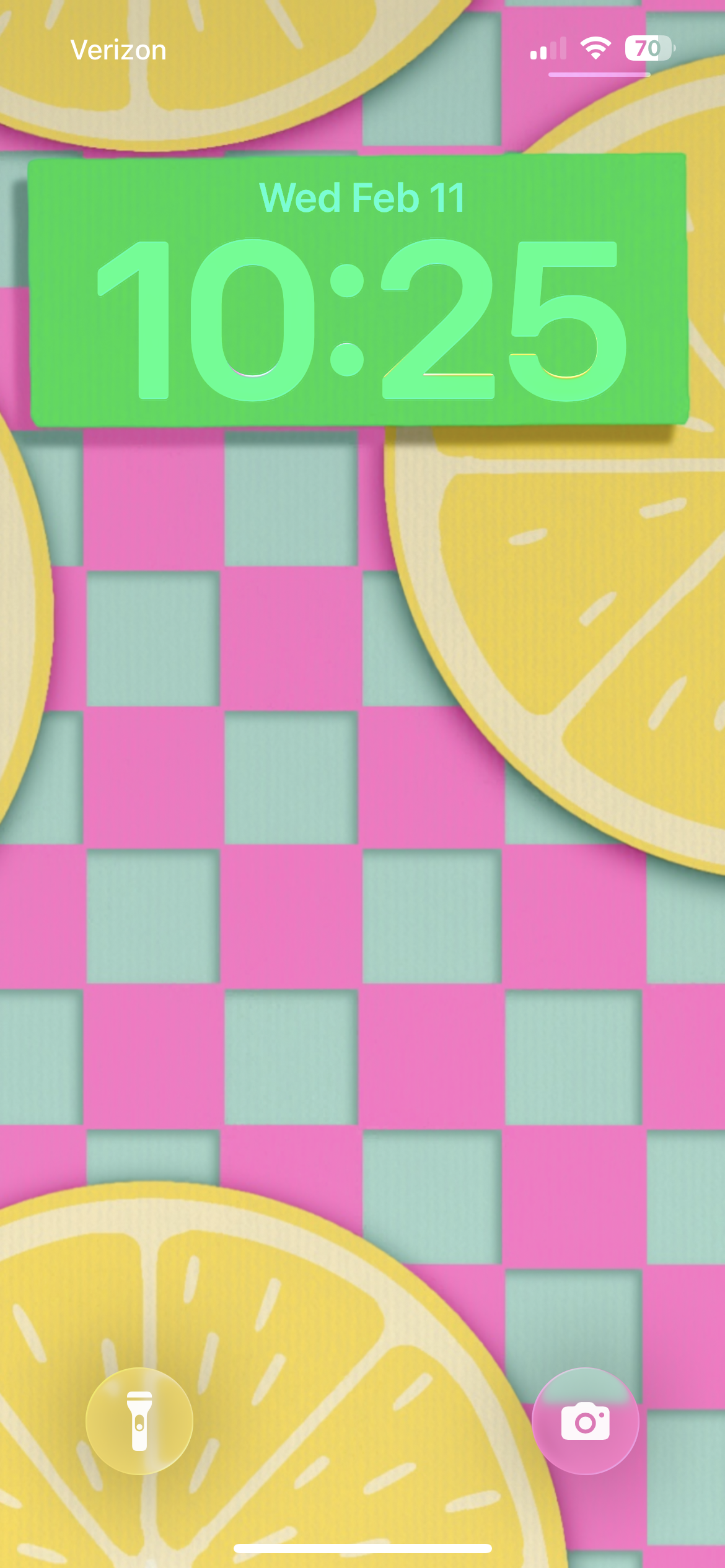 Citrus Picnic Wallpaper