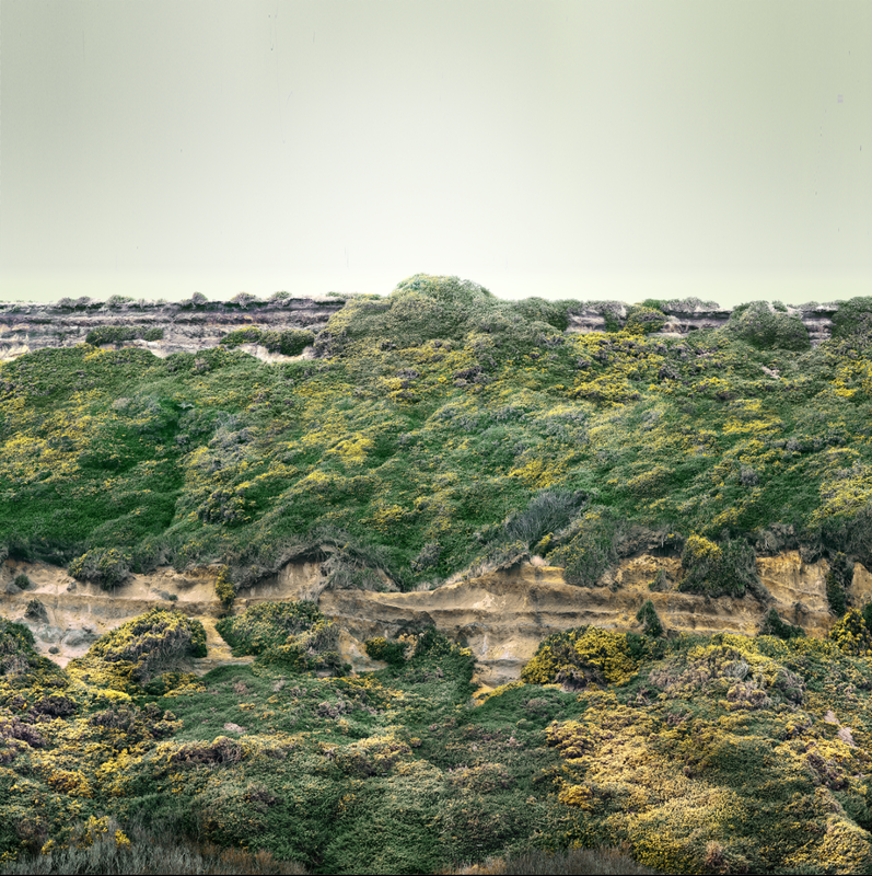 Green Wall, 45''x56,'' Digital Composite, 2017