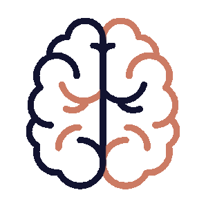 Illustration of a human brain with two different color sections