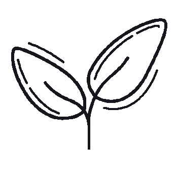 Simple black outline drawing of a plant with three leaves.