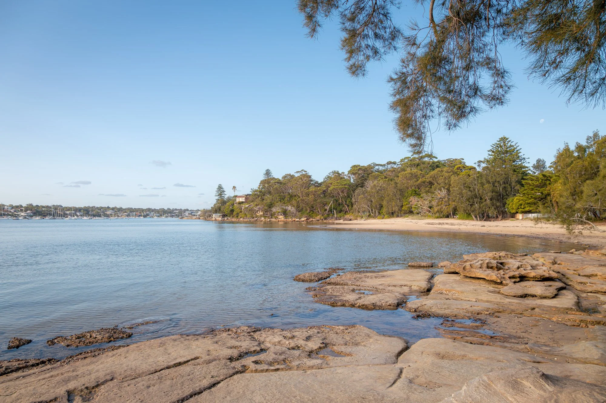 An image of Darook Park South, Cronulla. It features a peaceful coastal scene with calm water and a rocky shoreline, trees along the beach, and houses on a hill in the distance under a clear blue sky with a visible moon.