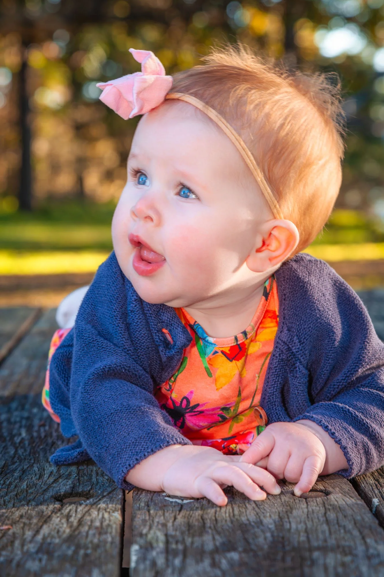 A baby girl lying on a wooden bench looking off-camera with a curious expression during a relaxed outdoor family photoshoot by Southern Exposure Photography.