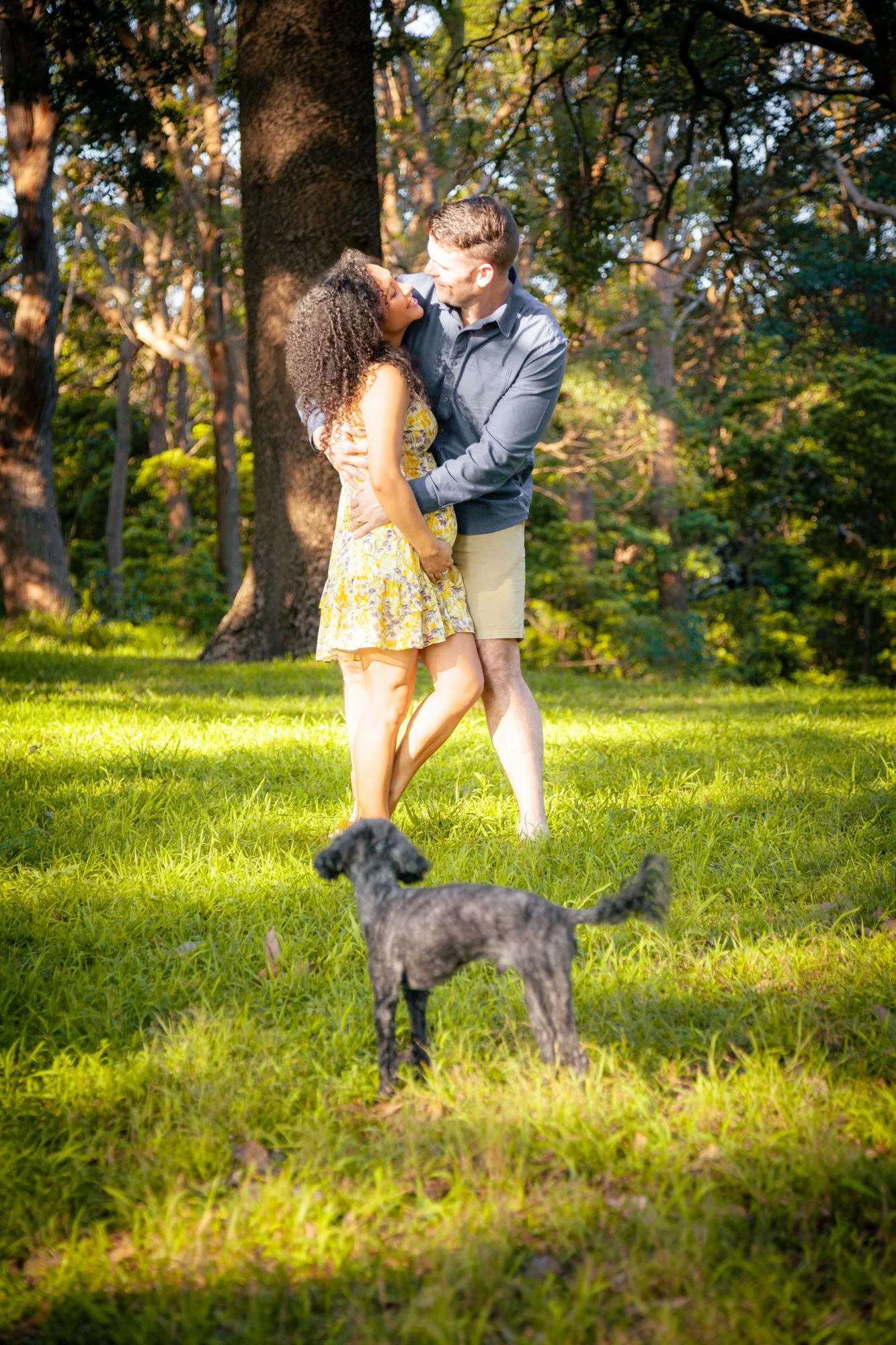 A couple embracing and looking at each other in a park, with a black dog in the foreground and trees in the background during a relaxed outdoor family photoshoot by Southern Exposure Photography.