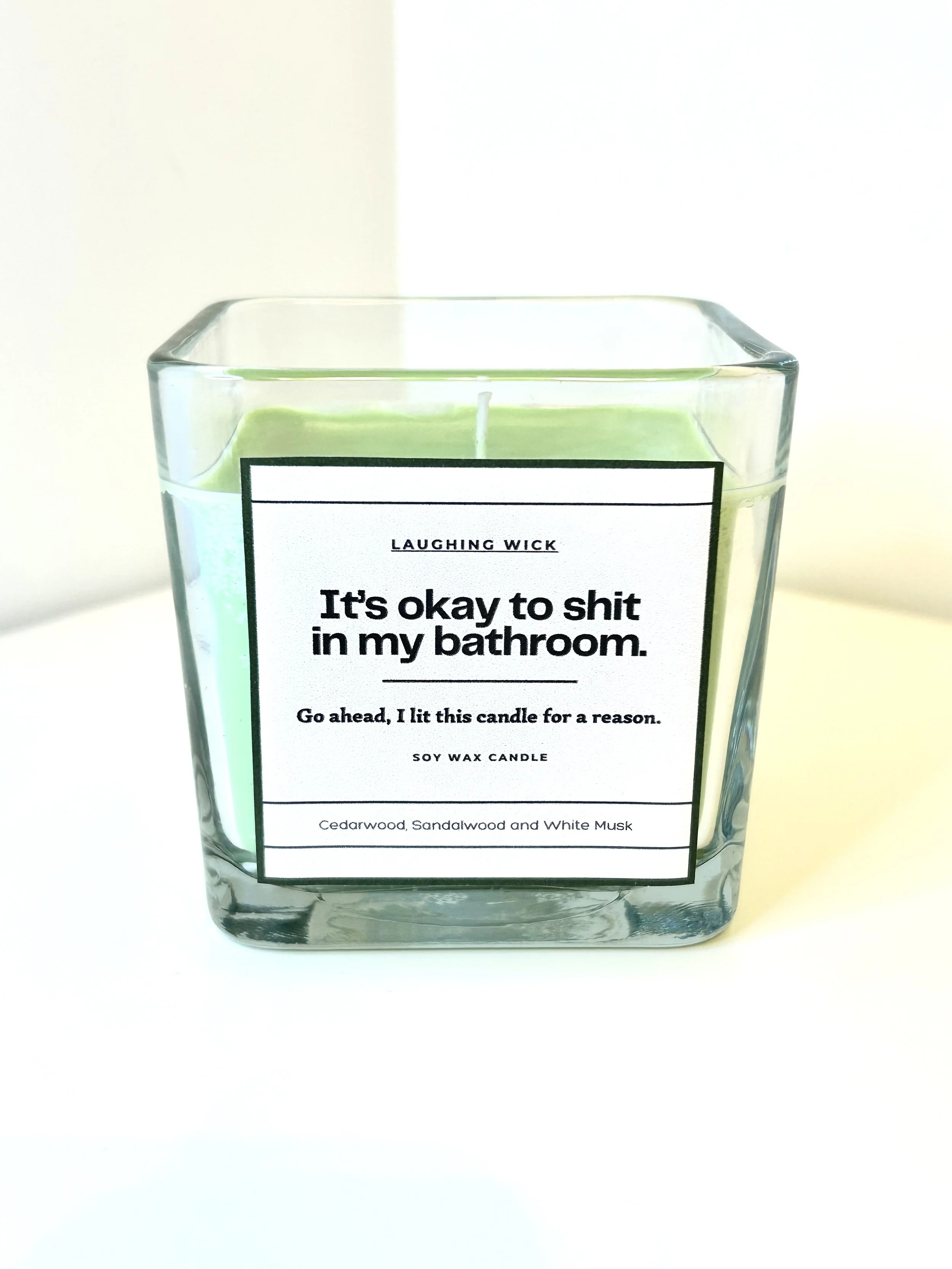 It's okay to shit in my bathroom.