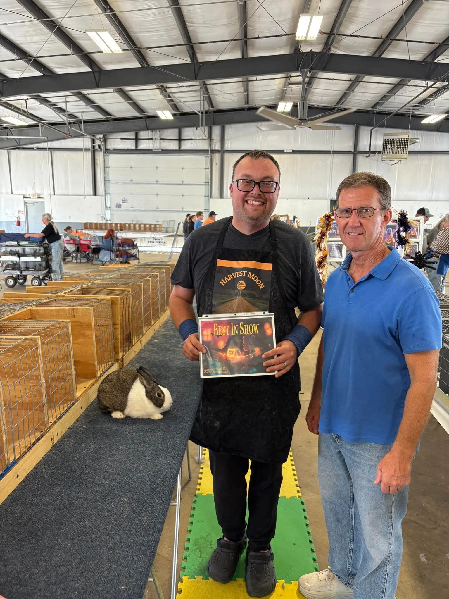 Open Best In Show - Auglaize County RBA - 10/12/25 - Kevin Hooper - Gray Jr Doe