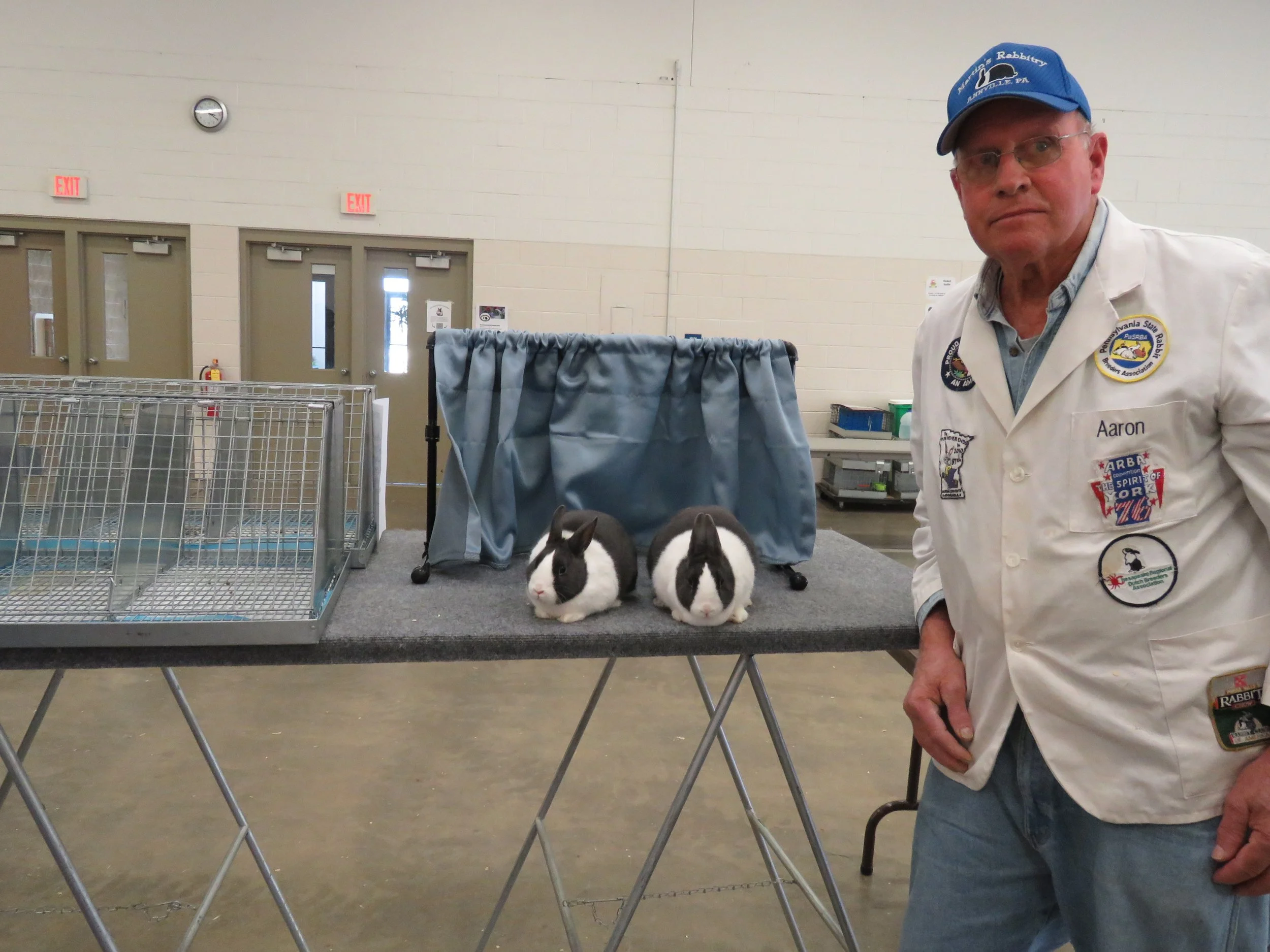 Aaron Martin with Open Best of Breed (Blue Jr Buck) and Best Opposite of Breed (Blue Sr Doe)