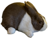 About the Breed — dutchrabbit.com