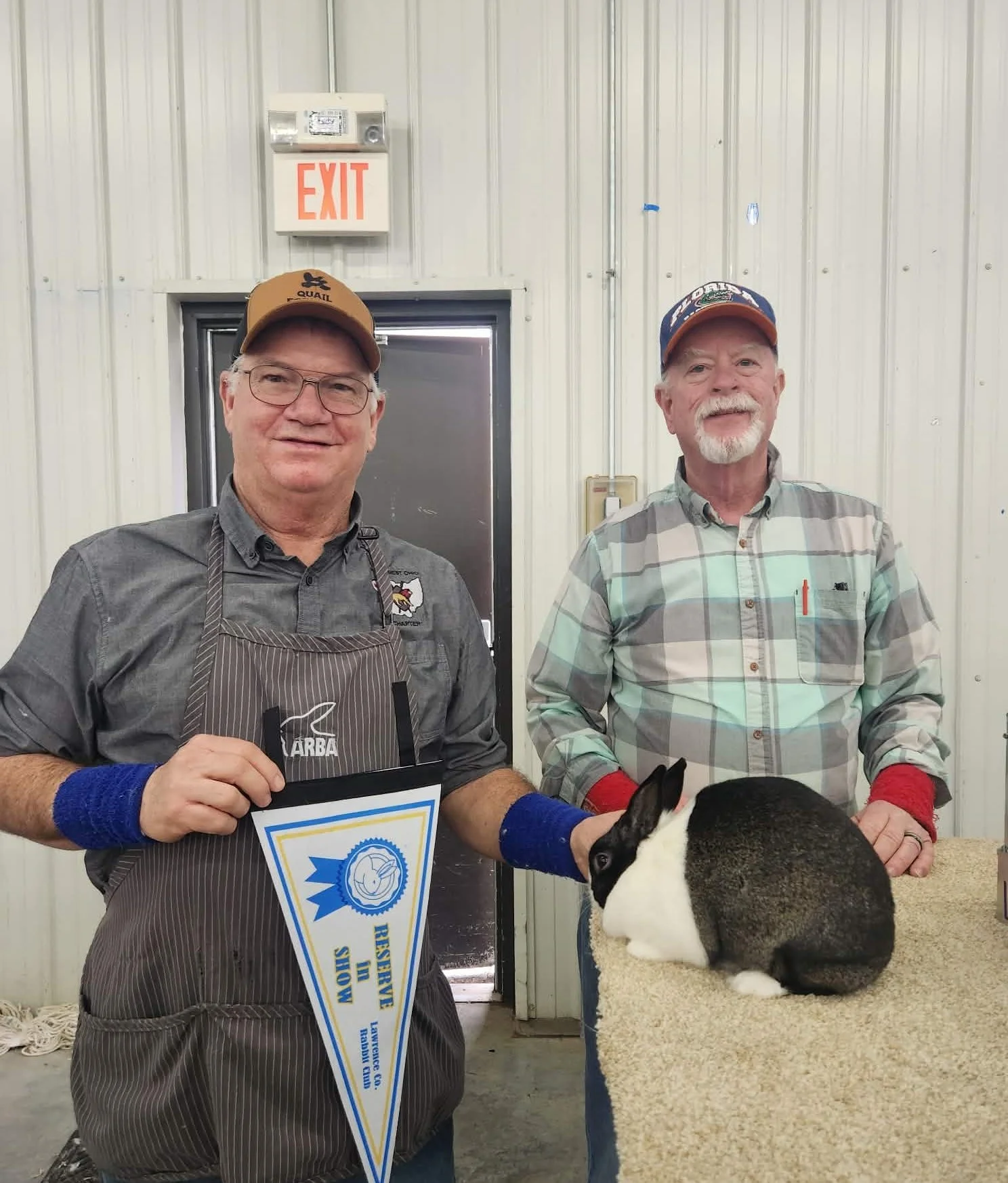 Open Reserve in Show - Lawrence County Rabbit Club Show D - March 7, 2026 - Al Gerhart & Adrienne Fowler - #AS185 Steel Sr Doe