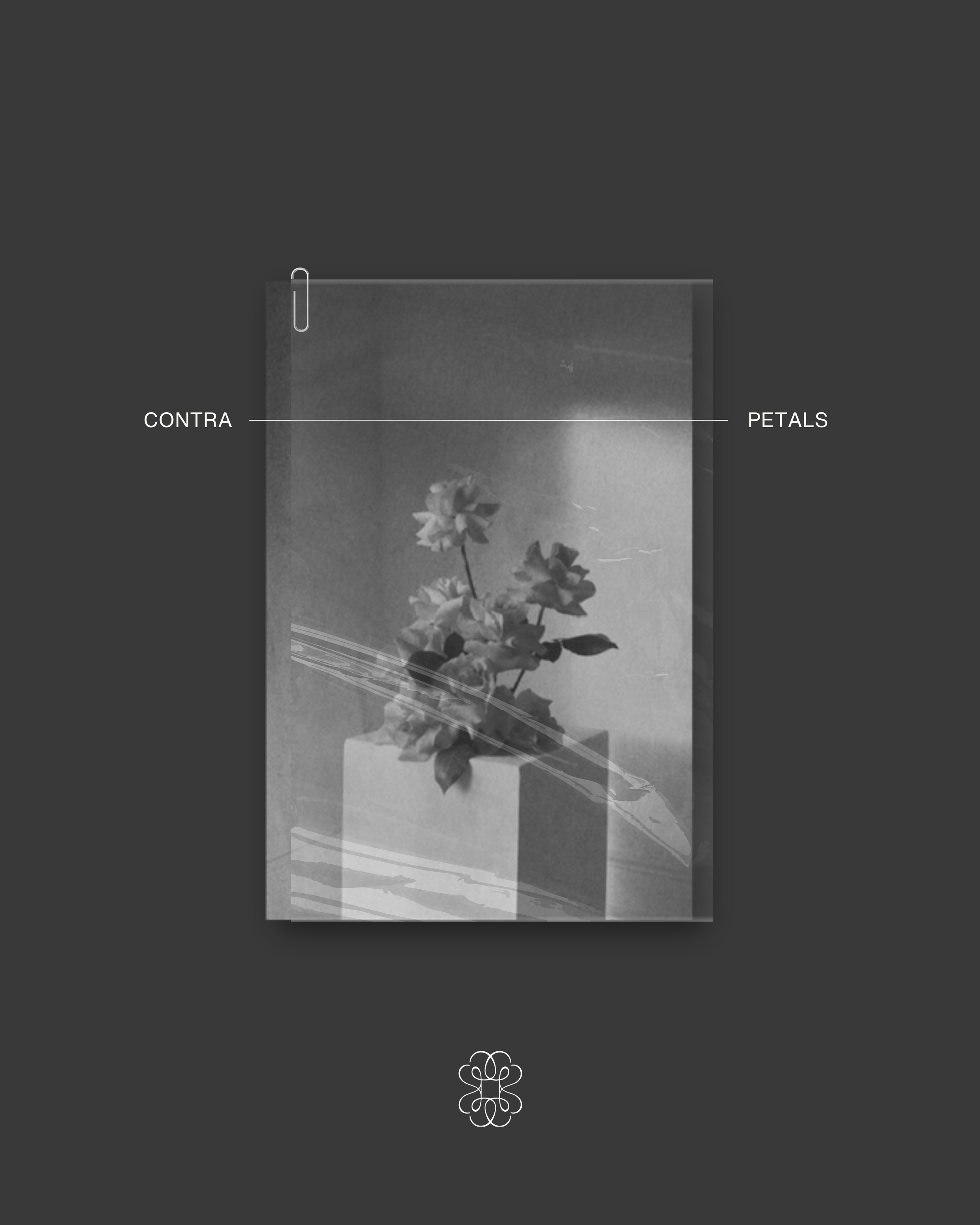 Black and white photo of a flower in a square pot, with labels 'CONTRA' on the left and 'PETALS' on the right, and a paperclip attached at the top left corner.