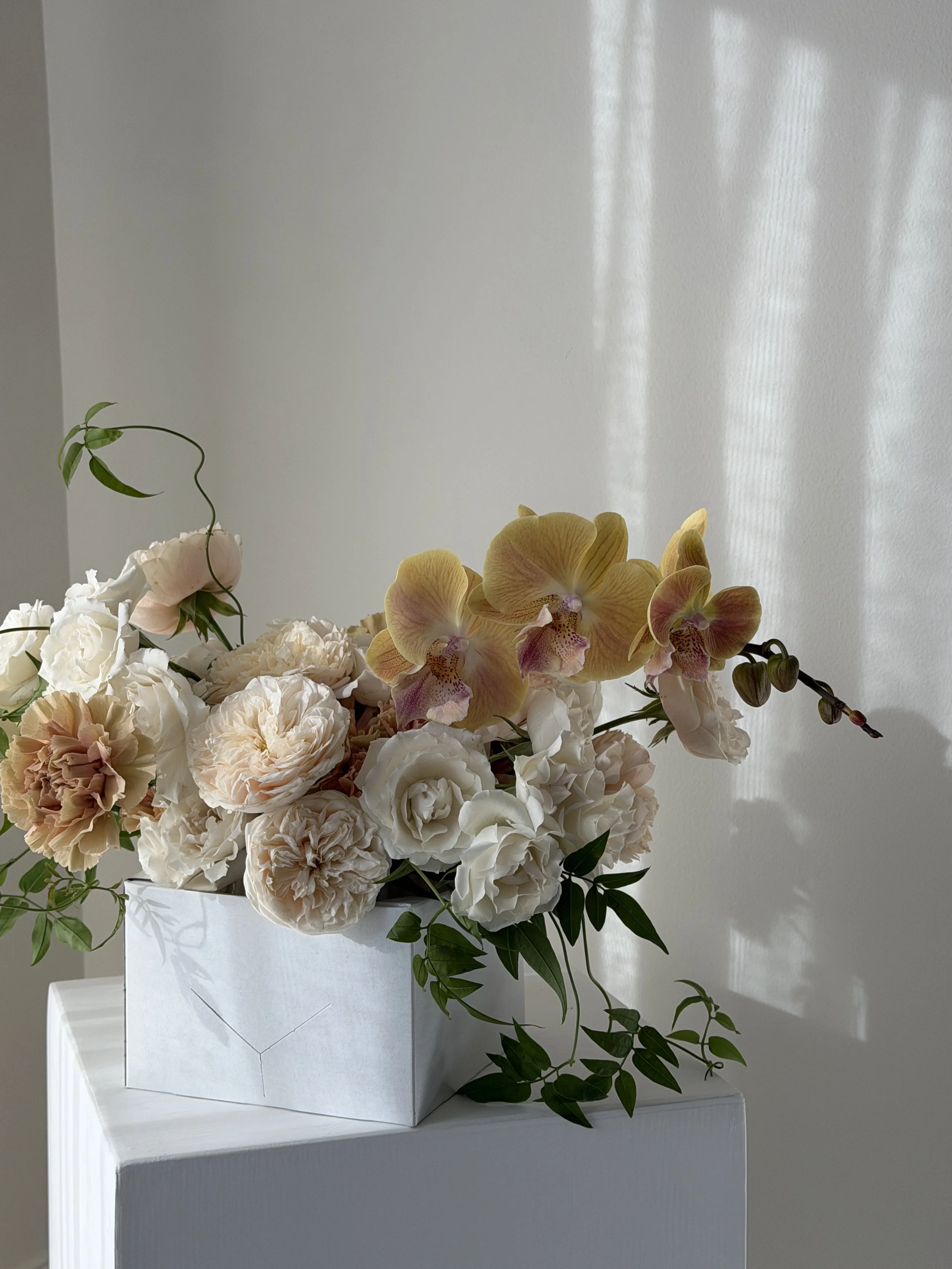 A white box with a floral arrangement of peonies, roses, and orchids with green leaves placed on a white pedestal. Sunlight casts shadows on a plain wall behind.