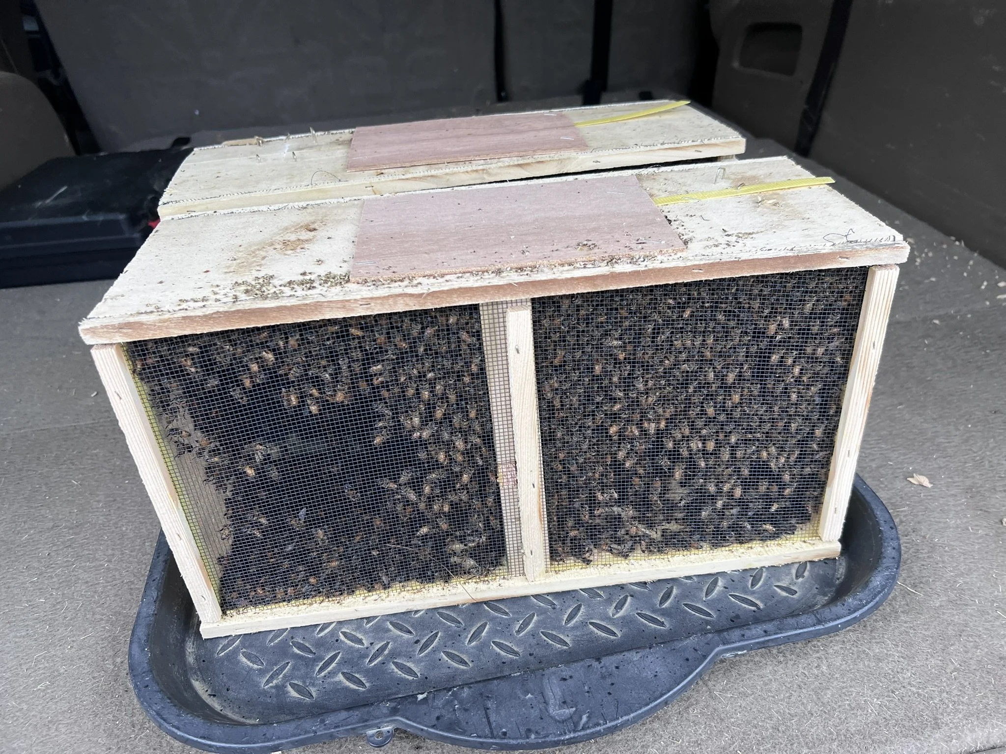A small wooden bee hive with a screen covering the opening, placed on a black plastic table.