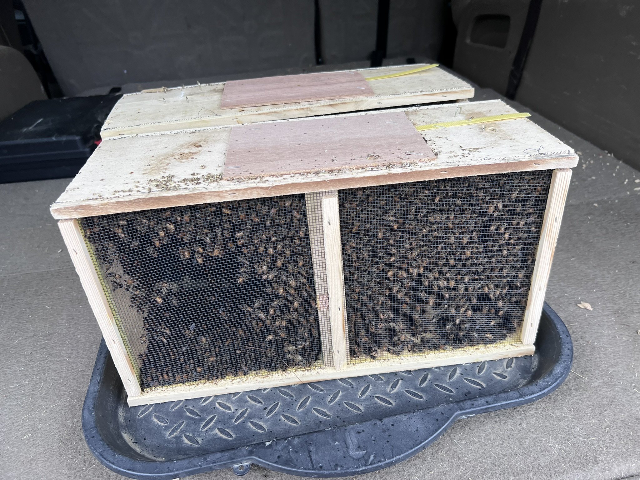A wooden bee house with a mesh front filled with bees, sitting on a metal surface, with a black rubber tire underneath.