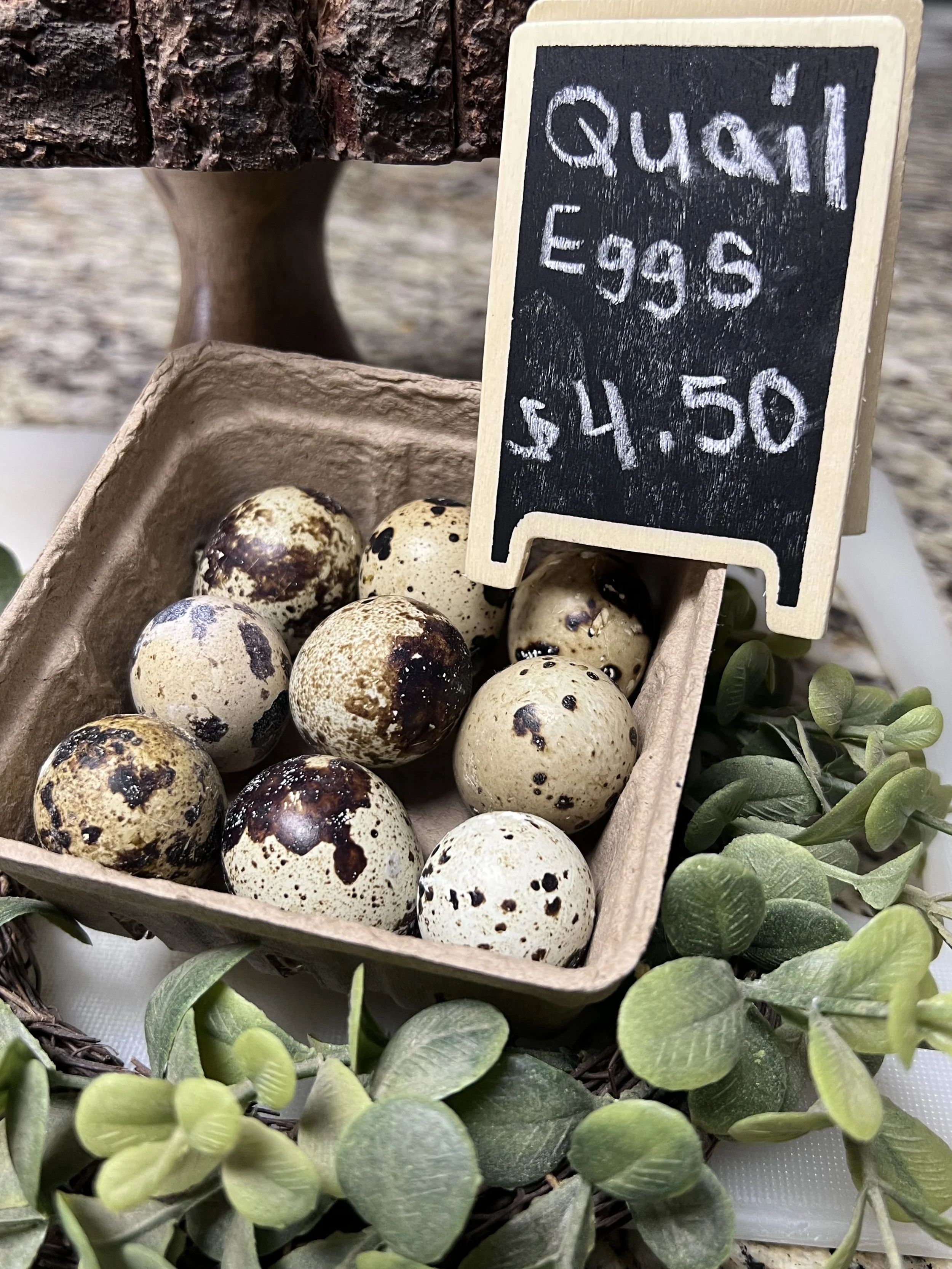 Jumbo Coturnix Quail Eggs
