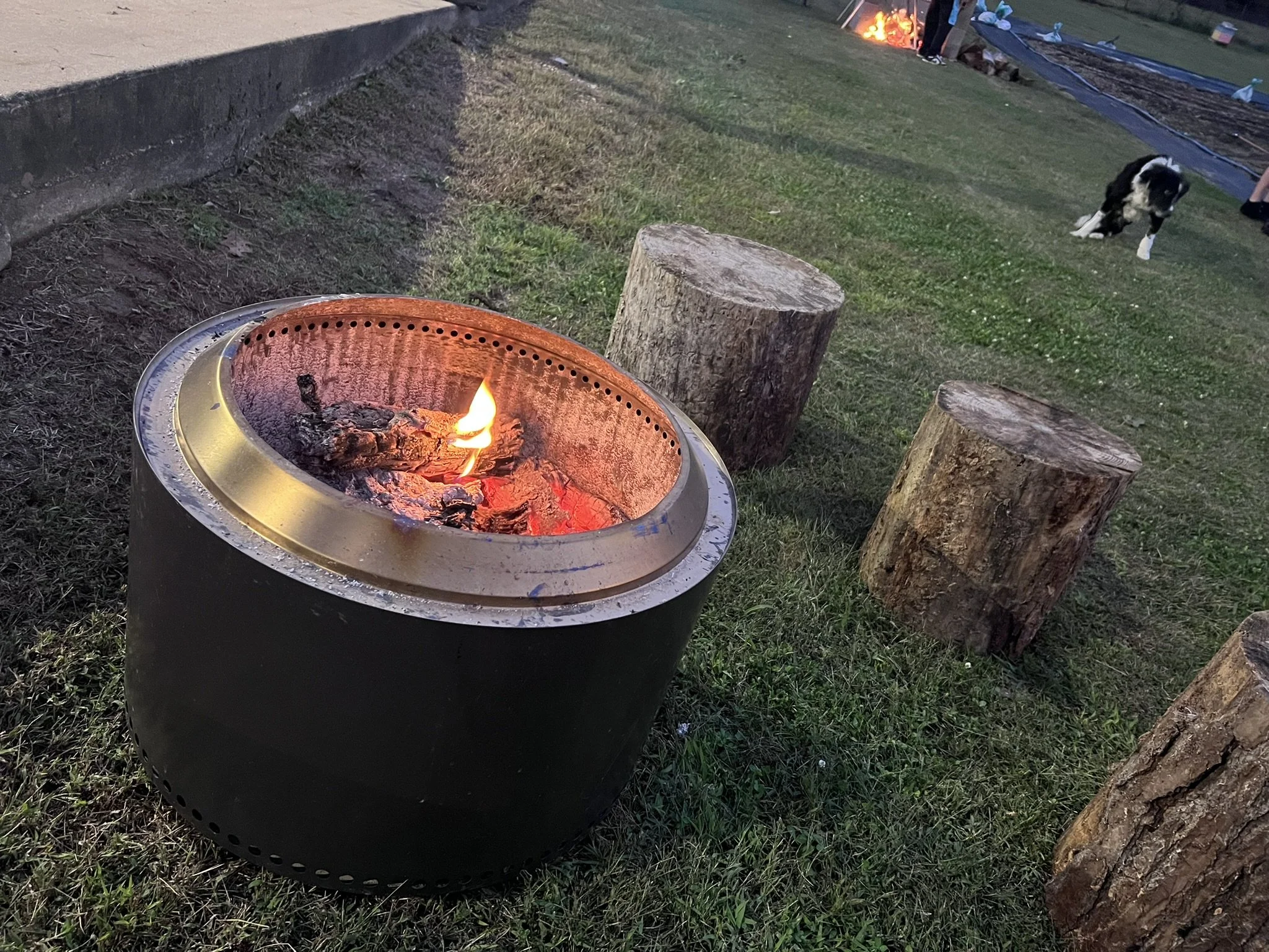 A close-up of a metal outdoor fire pit with burning logs, surrounded by grass and wooden logs, in a backyard with a fire burning in the background.