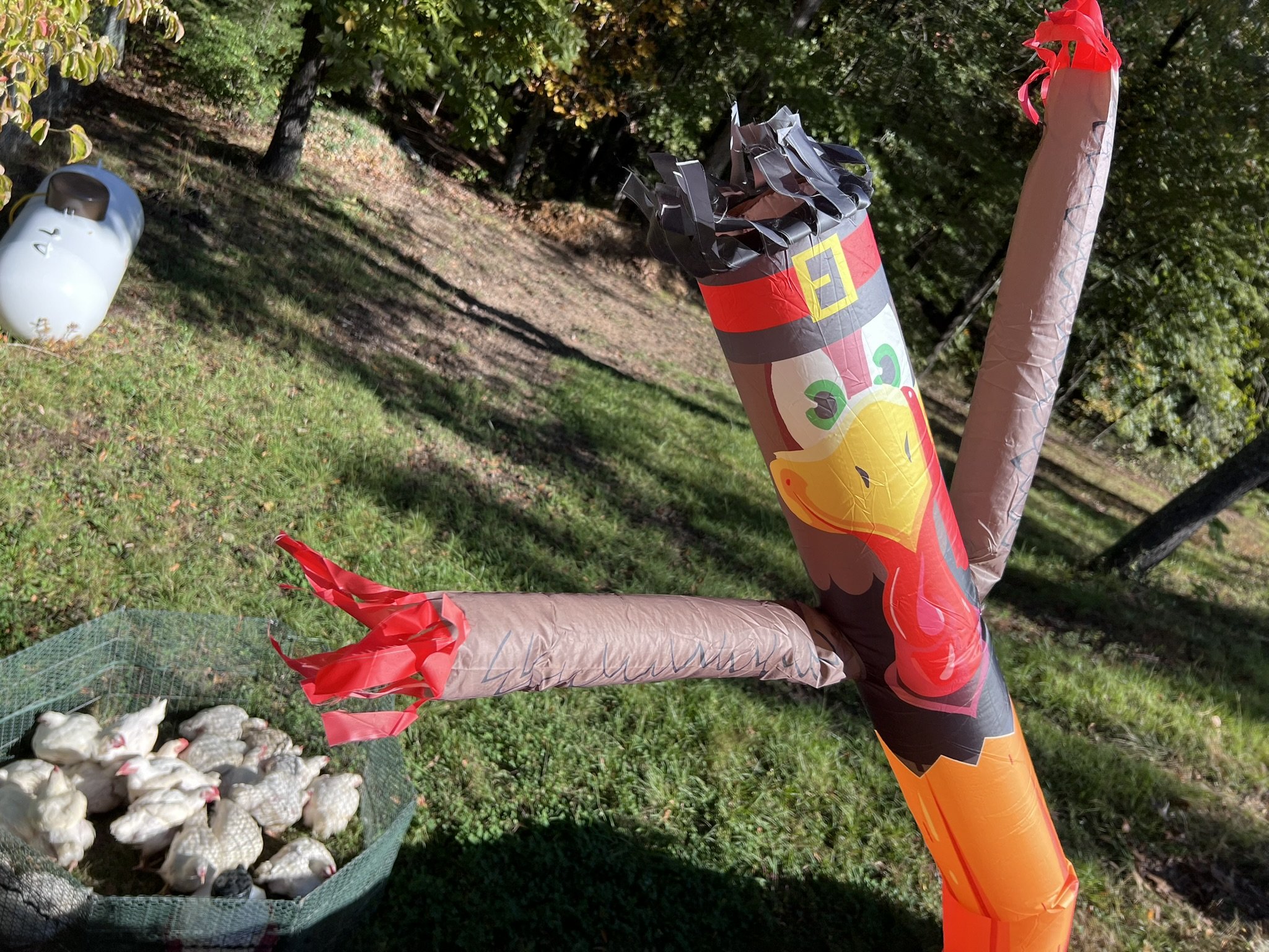 Colorful Halloween-themed inflatable decorations of a black cat, orange pumpkin, and a red and white ghost in a garden with trees and grass.