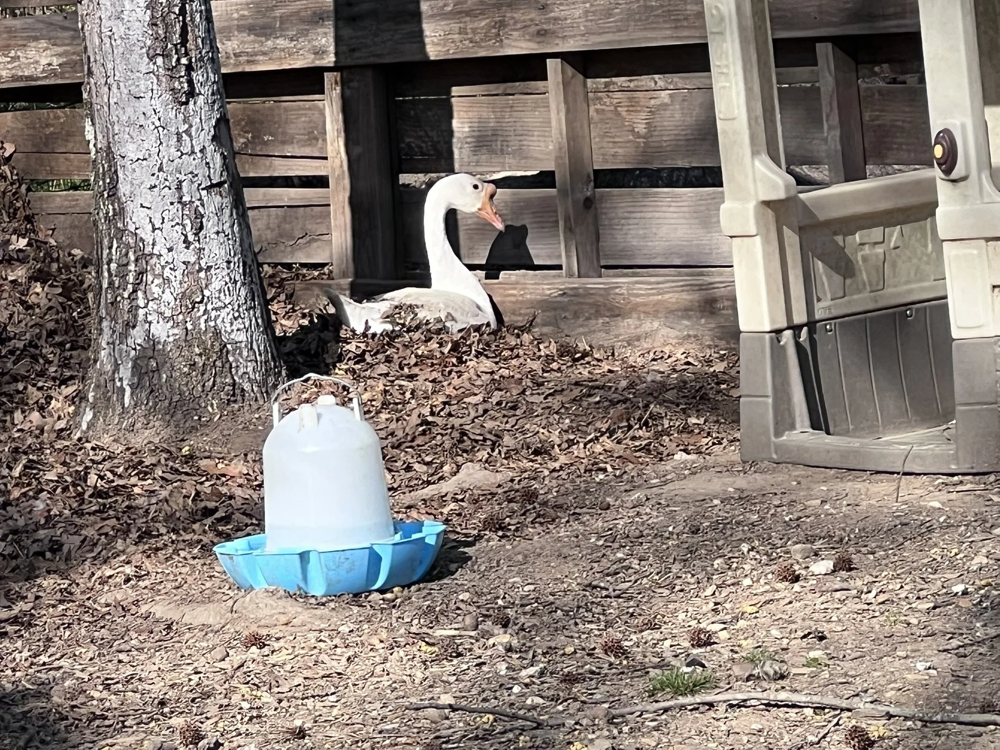 IMG_7825.JPEG