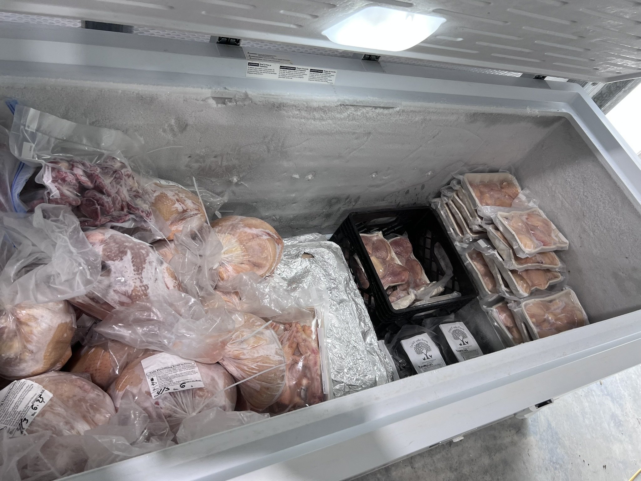 Frozen meat and chicken packaged in plastic bags inside an open freezer.
