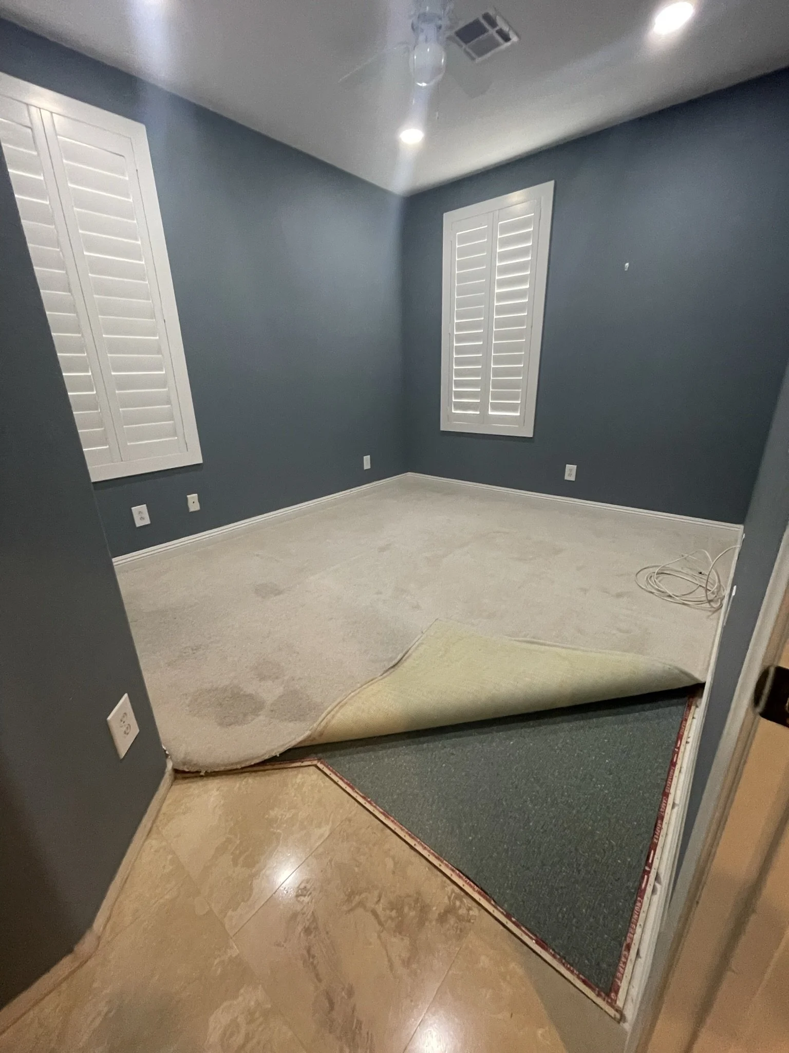 Vinyl Plank Flooring — Carpet removal