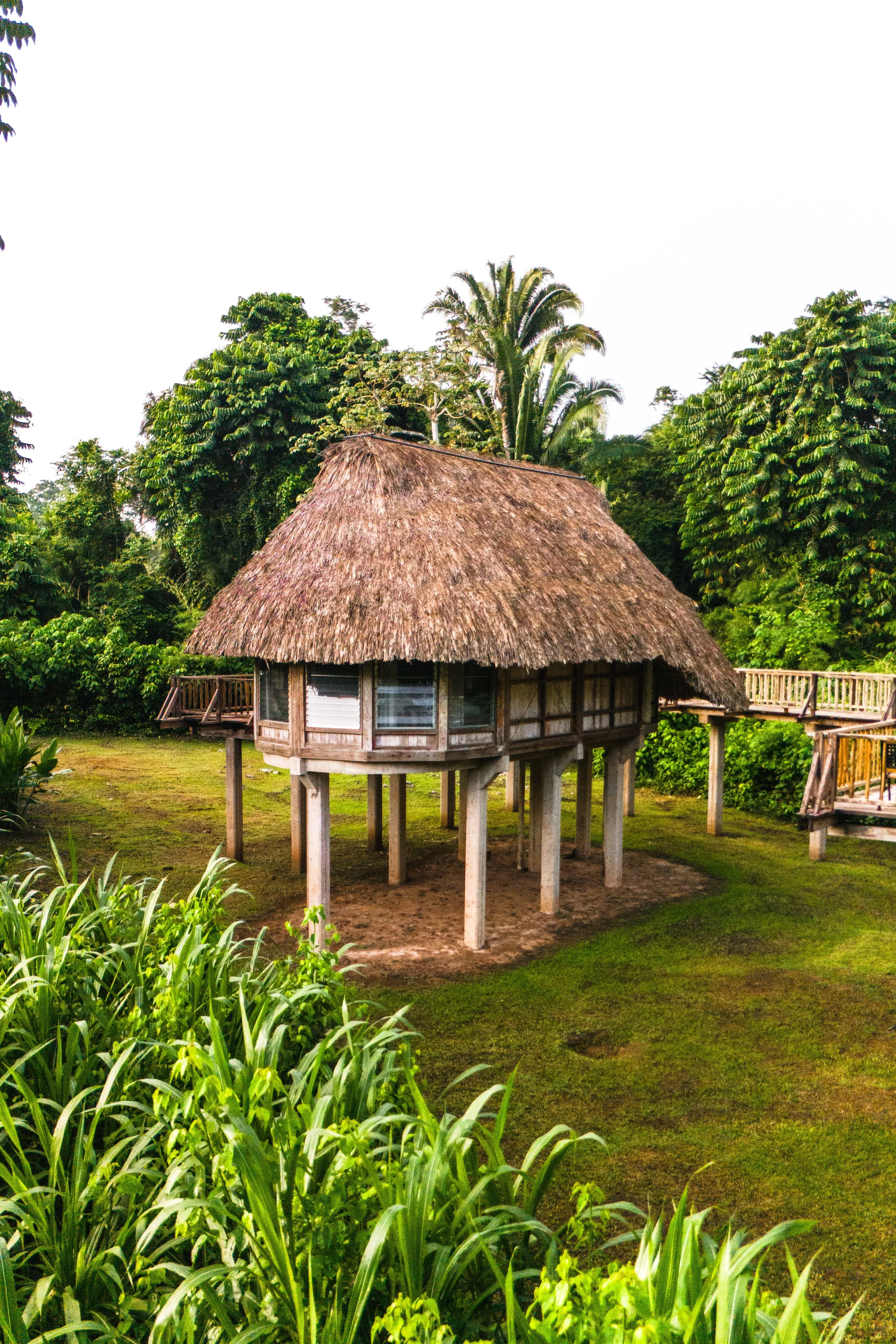 Photo Aug 31 2024, 8 55 25 AM.jpg