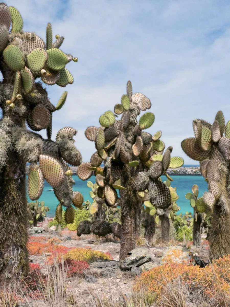 Galapagos Islands - Spring 2027