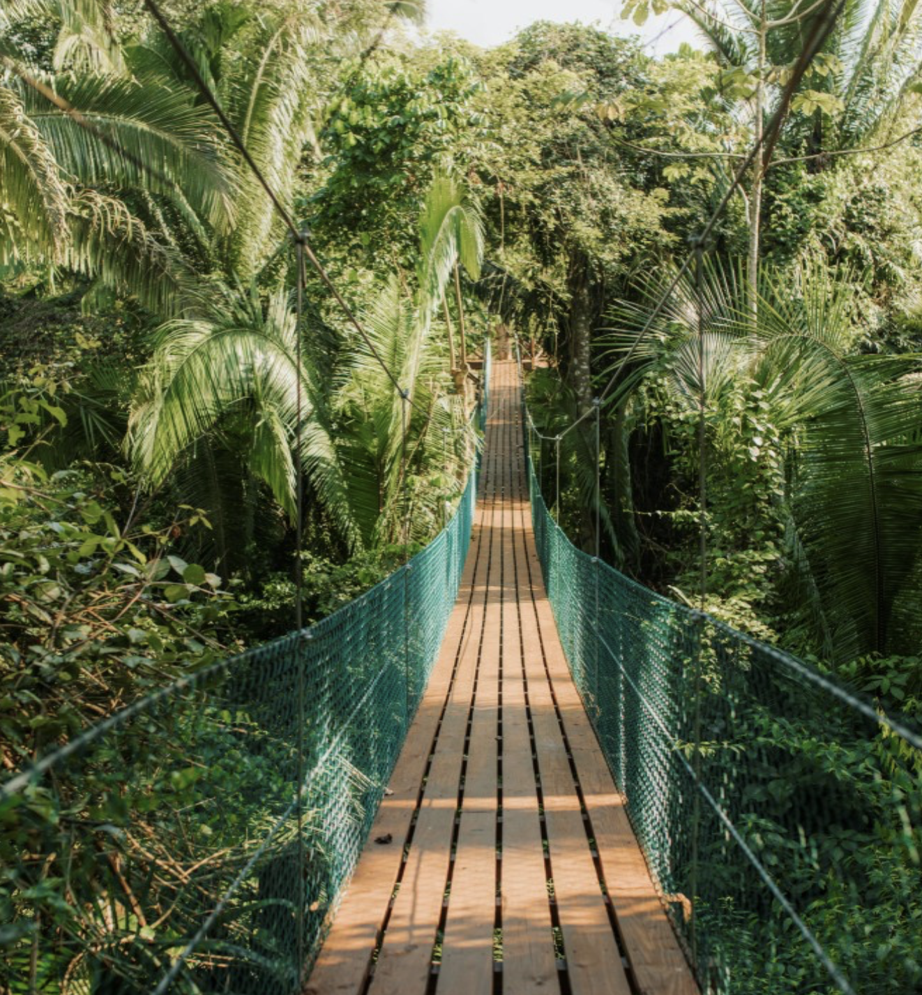 Screenshot 2026-03-10 at 8.41.59 AM.png