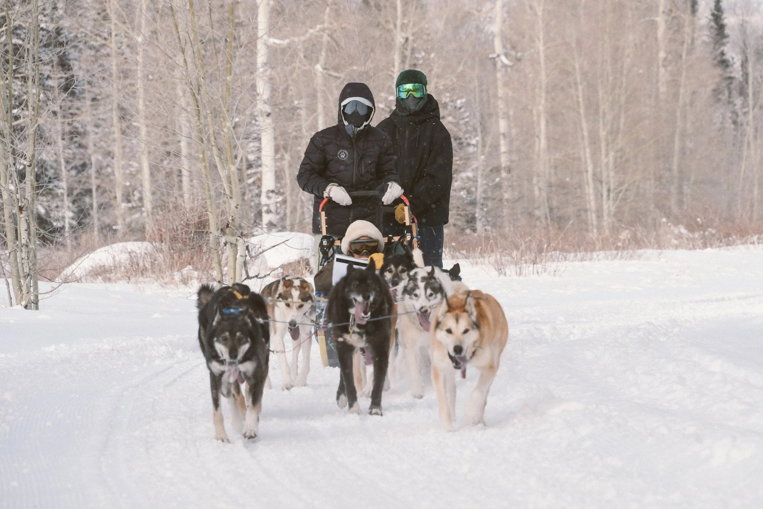 Adventurer Membership