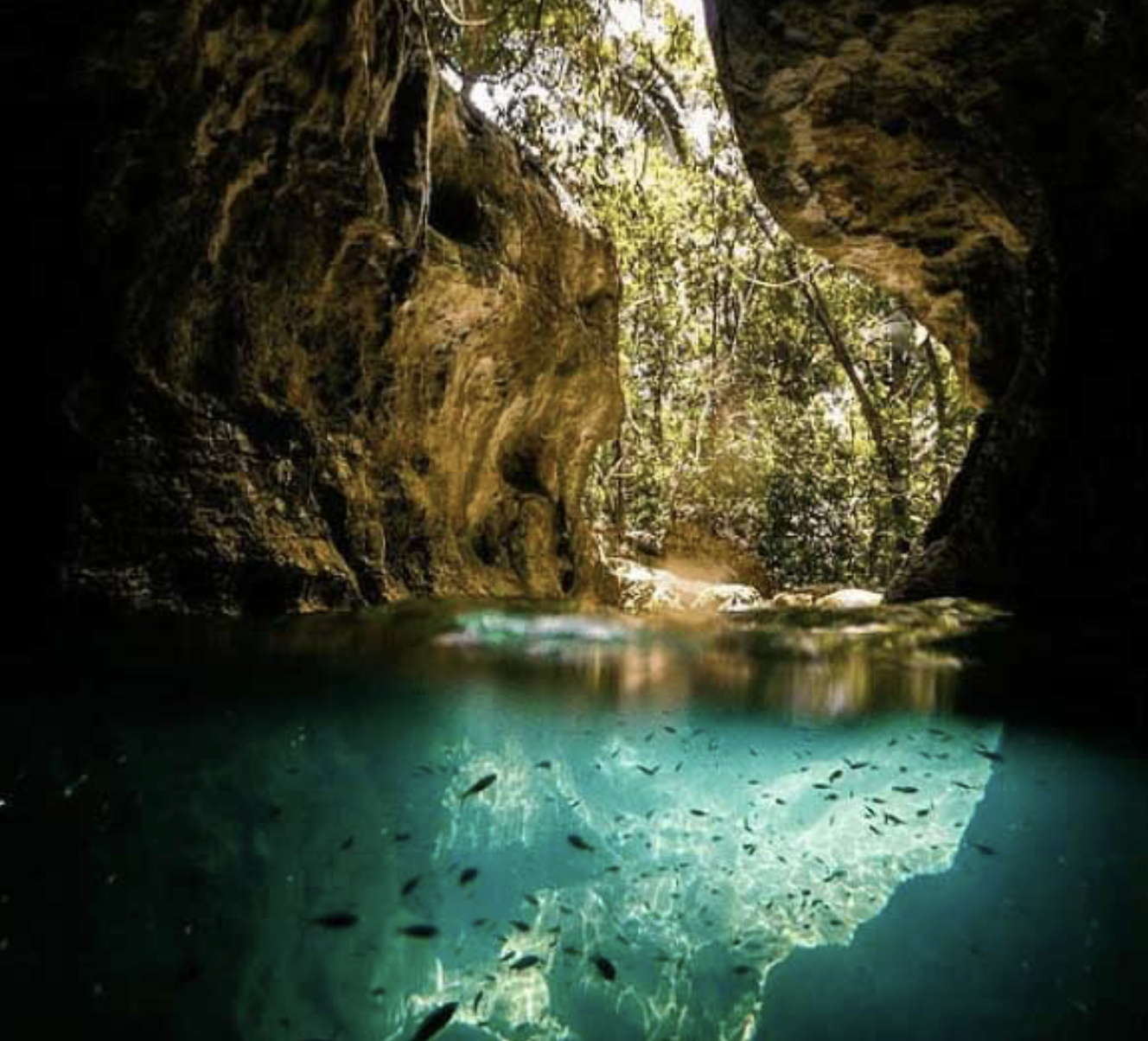 Screenshot 2026-03-01 at 8.15.28 AM.png