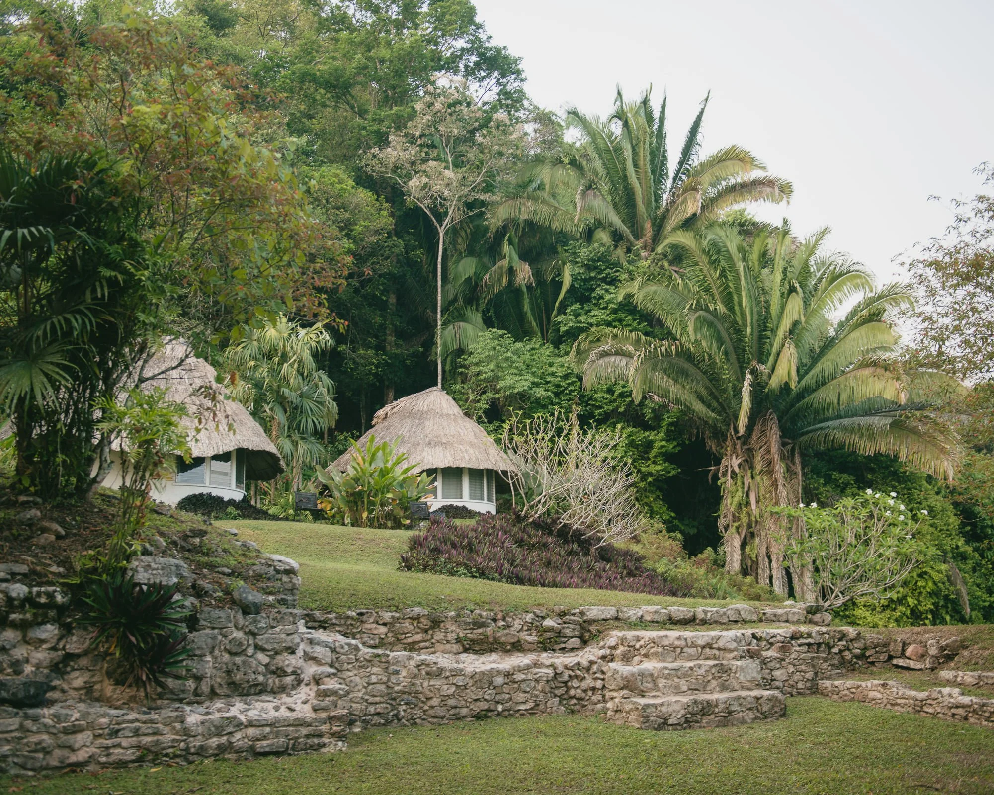 Pooks Hill Plaza.jpeg