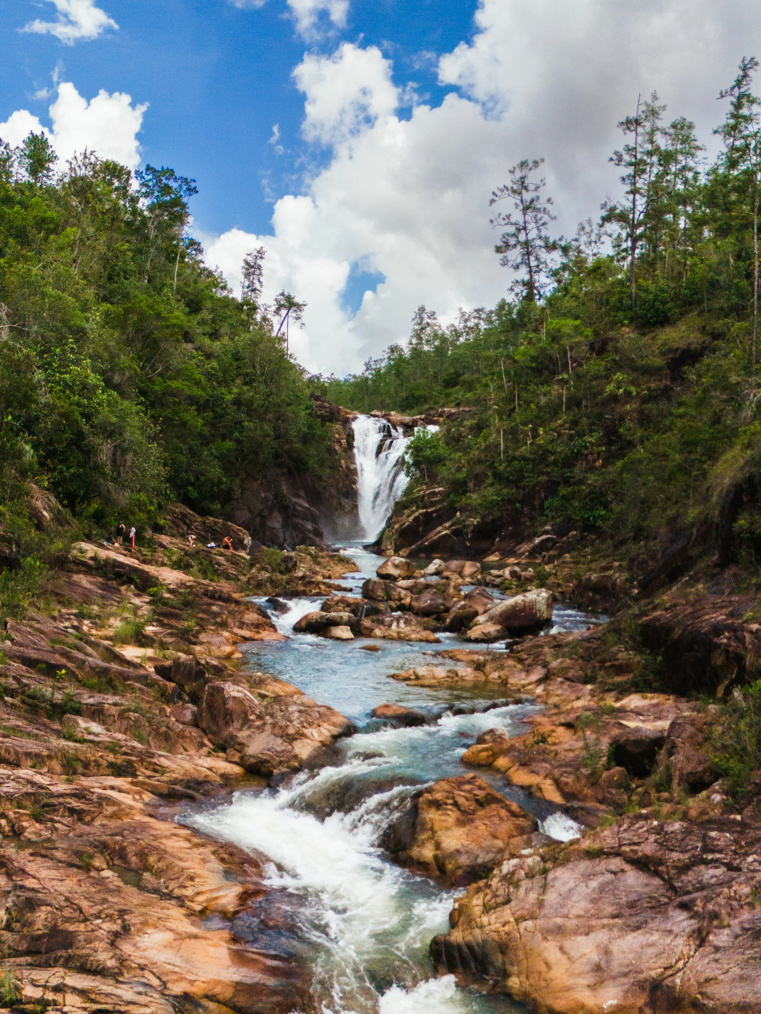 Photo Sep 02 2024, 3 39 13 PM.jpg
