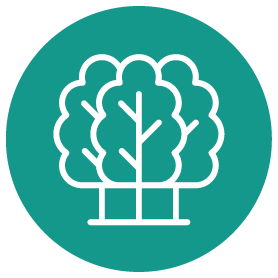 Vegetation management icon