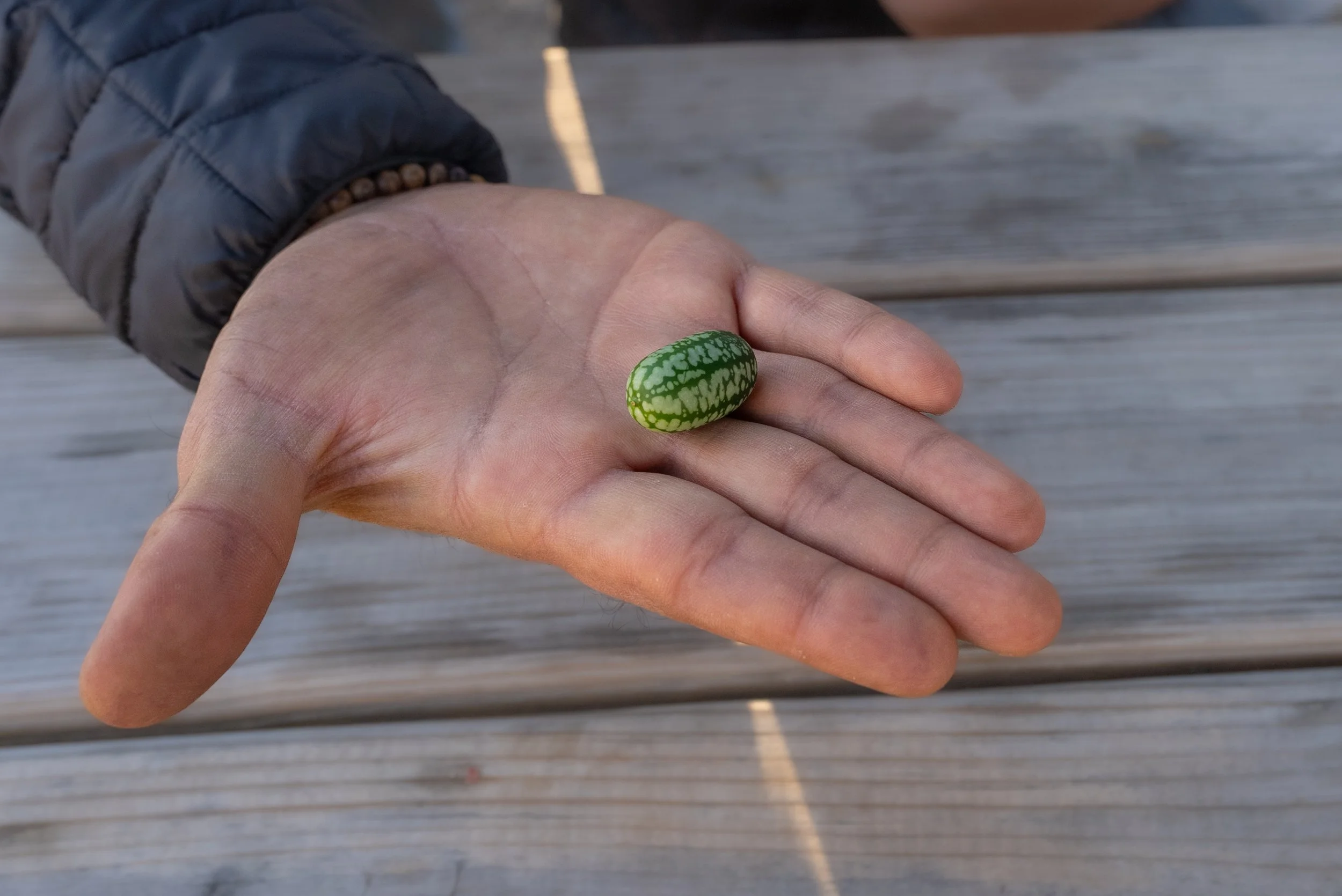 Burnsville_Horizontal_Thumbnail 17.jpg