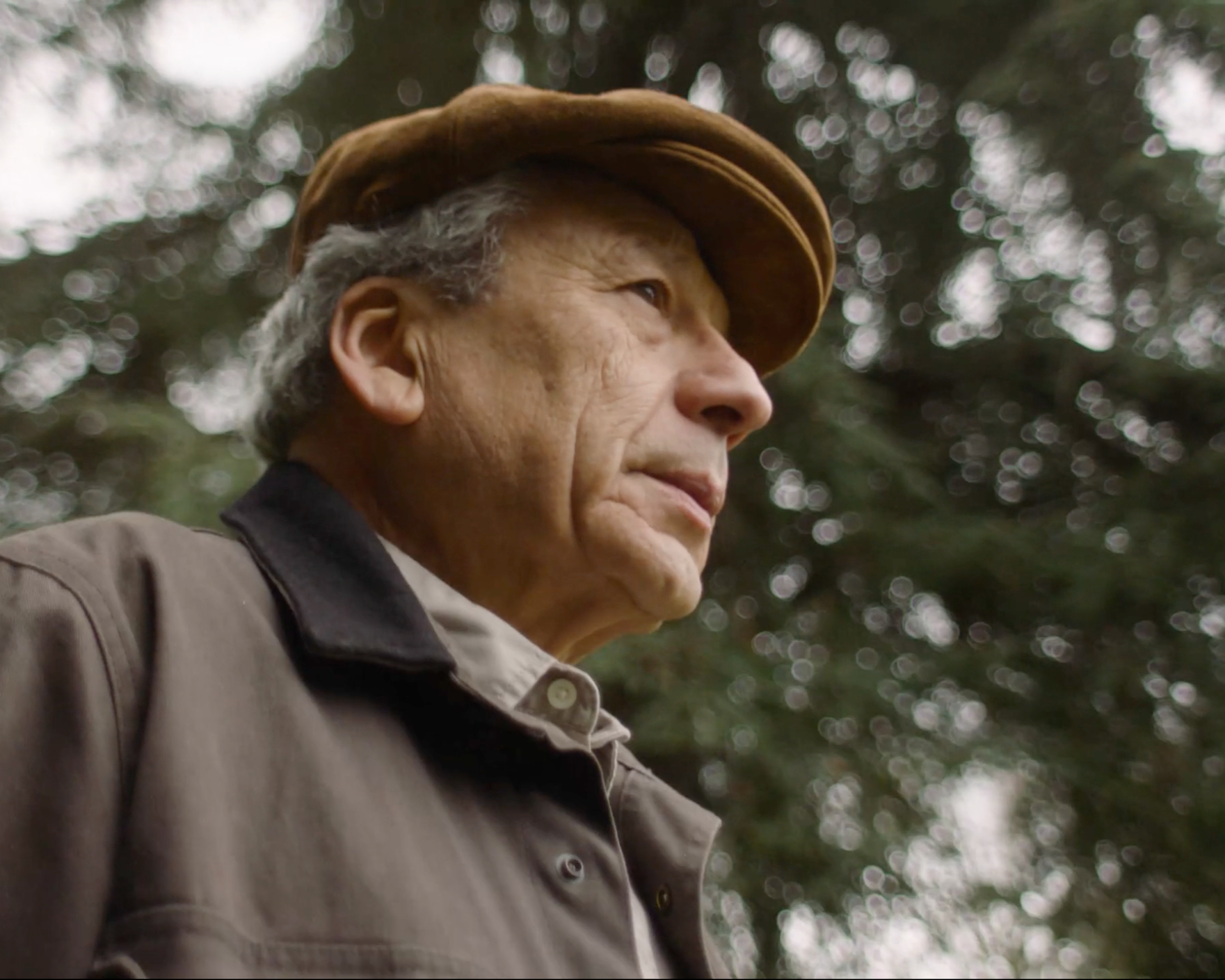 988 Lifeline | Here For You