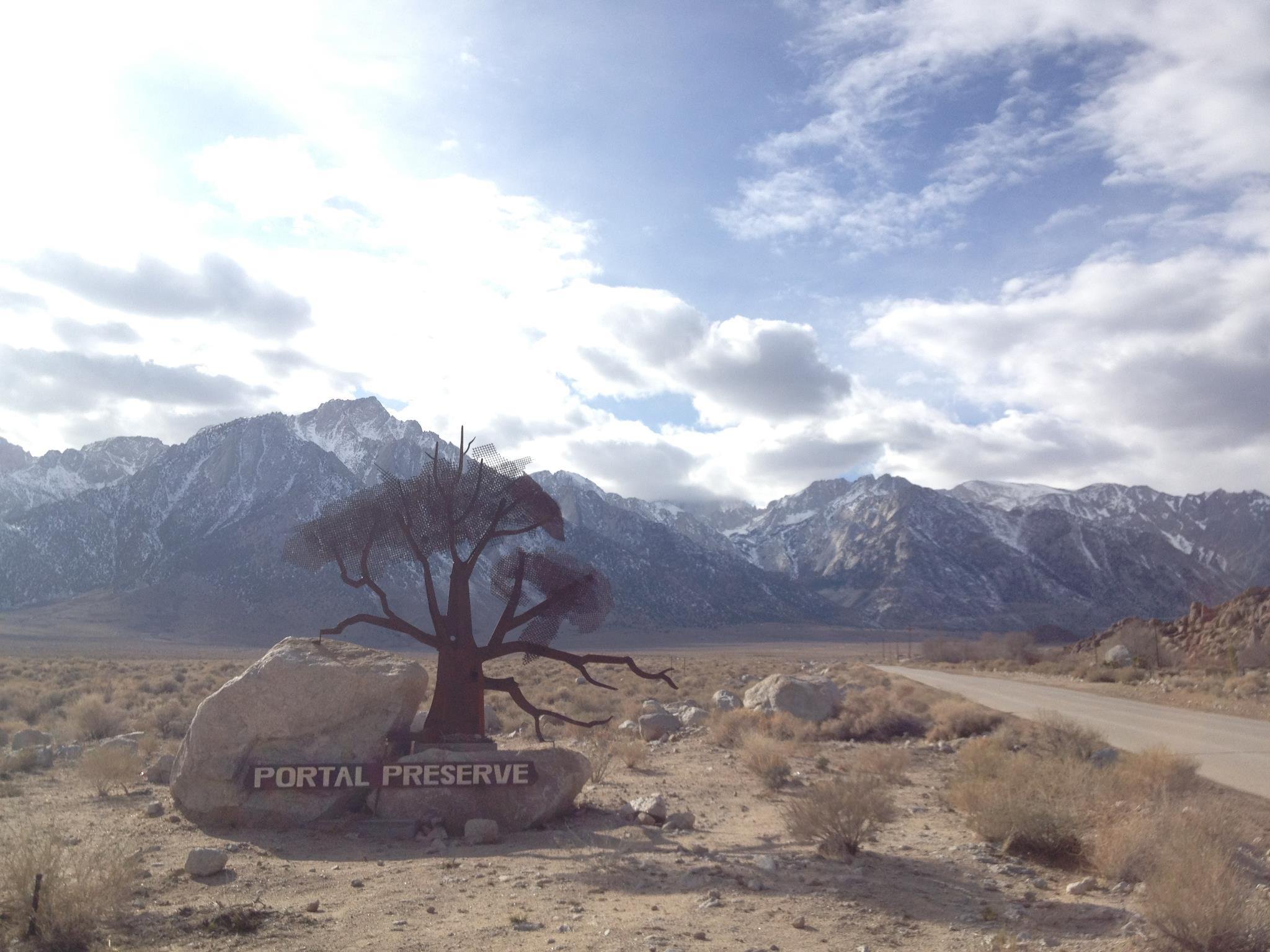 Lone tree standing in a mountain landscape in California's Eastern Sierra