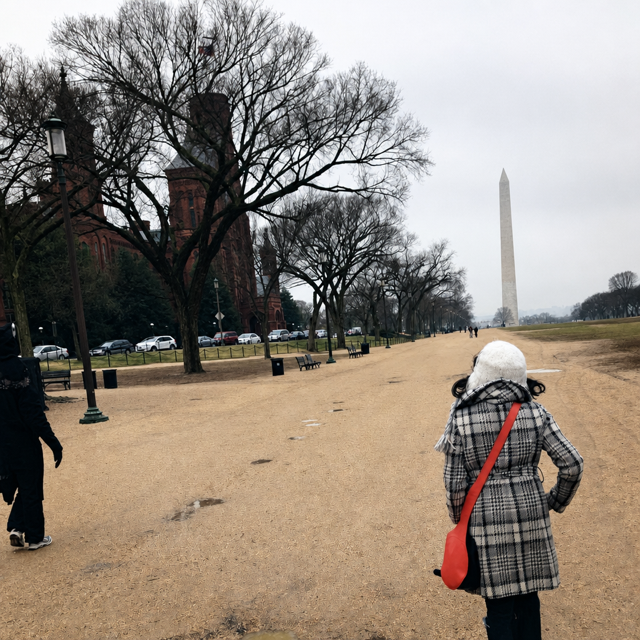 Walking Toward the Washington Monument