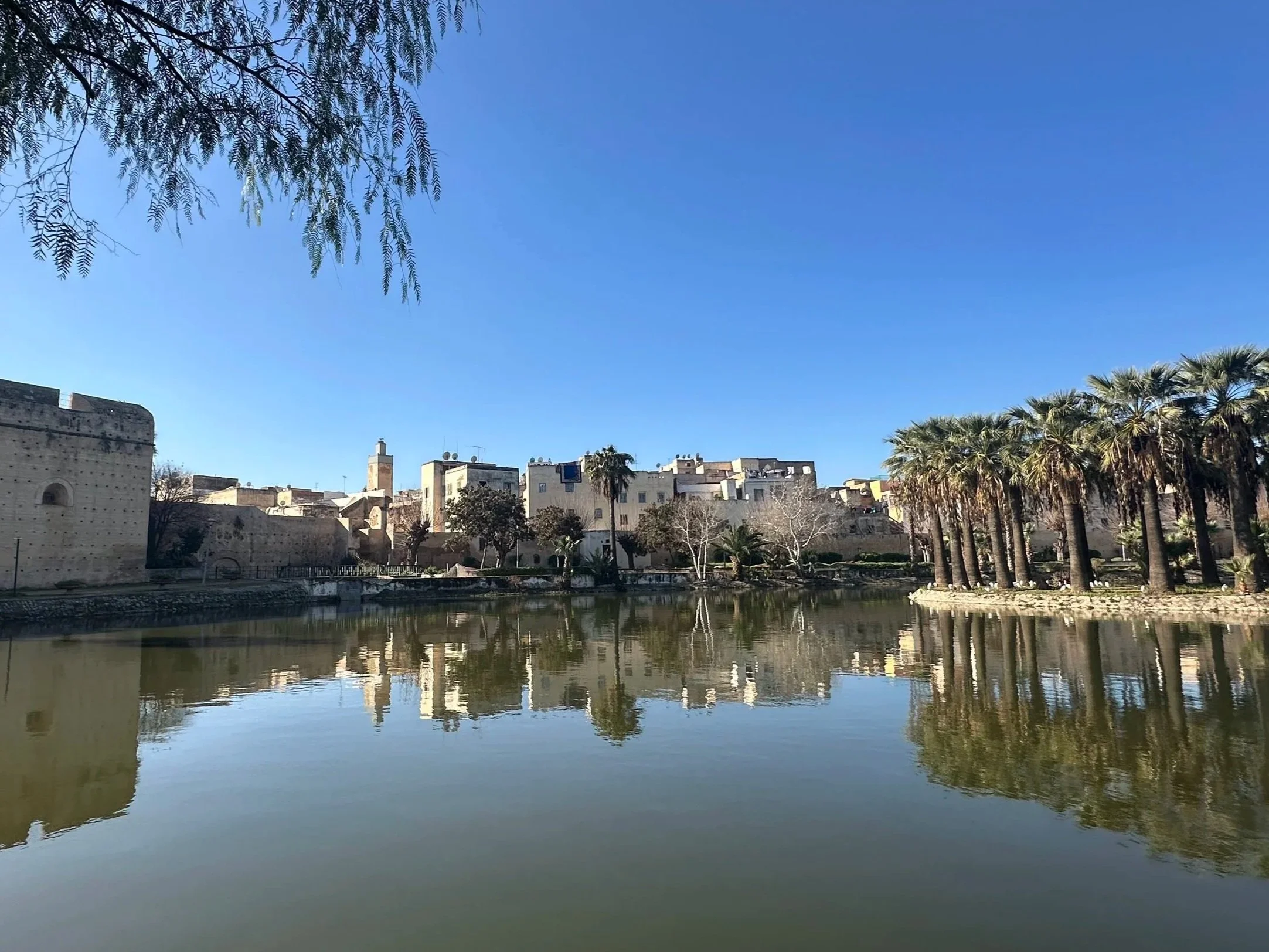 mall pond in Fez, Morocco, reflecting historic buildings and palm trees under a clear blue sky.