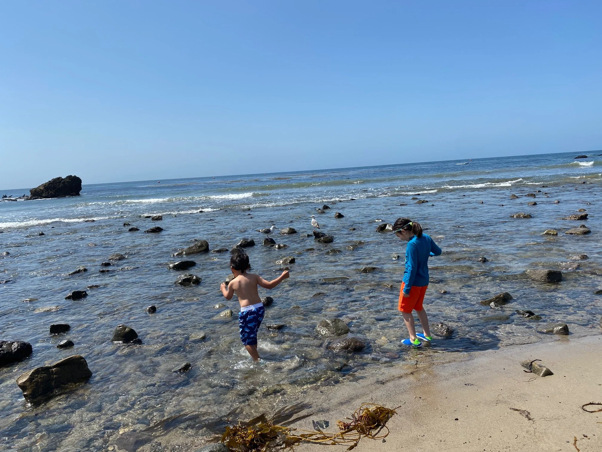 Children playing freely at the beach representing the lightness and freedom of trauma recovery with Rosalie Maduro LMFT ACMHC serving Los Angeles San Francisco and Park City