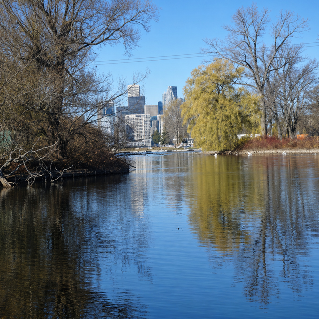 City Reflections