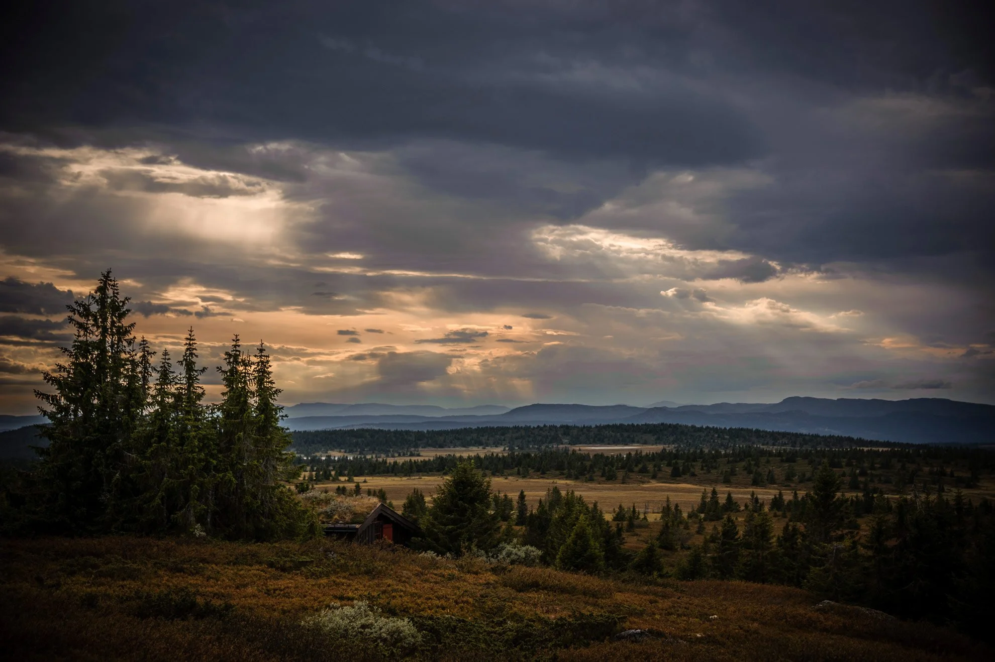A landscape view of a forested area with pine trees, a small cabin, and rolling hills under a cloudy sky with sunlight breaking through the clouds.