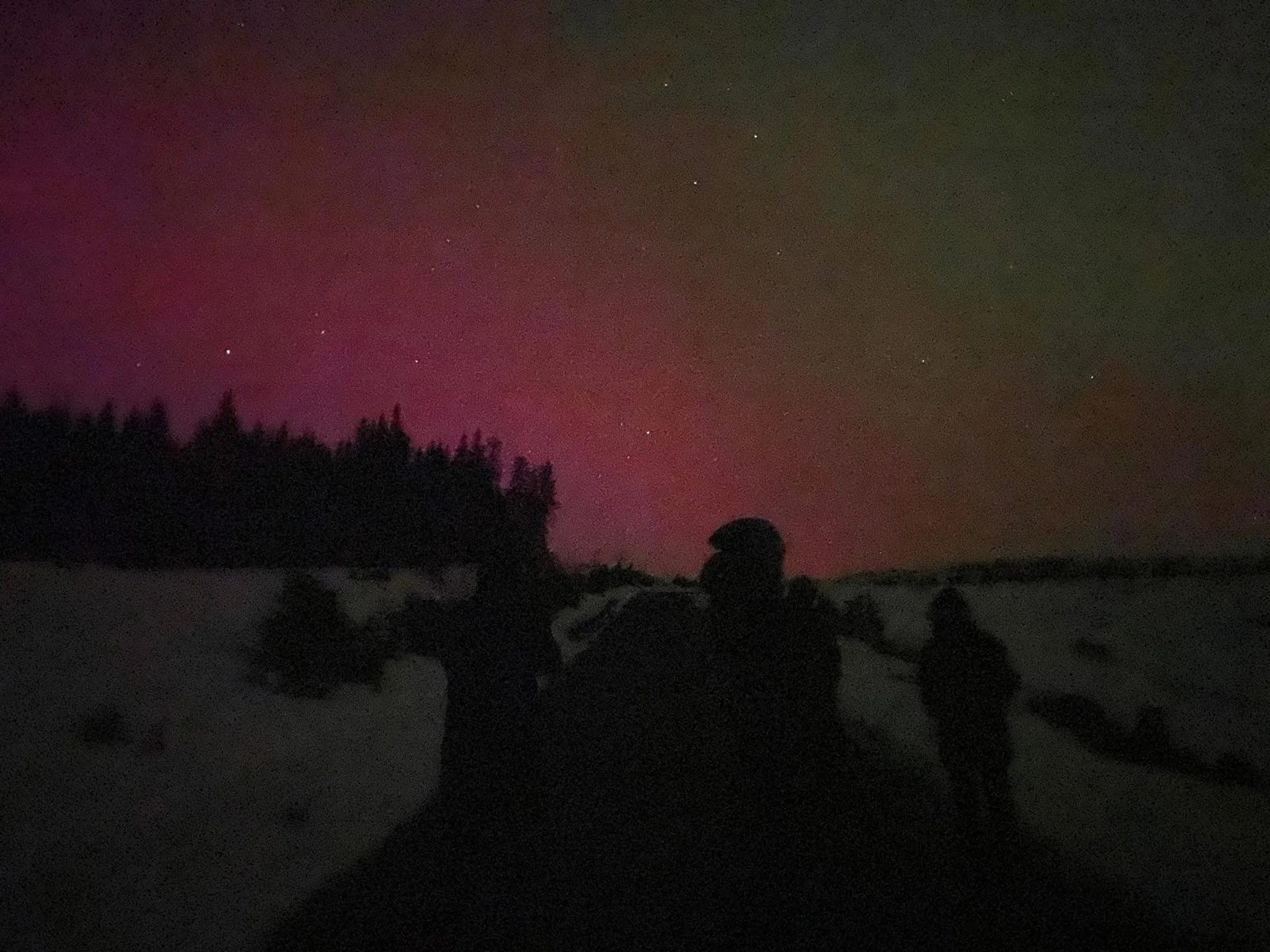 Silhouettes of people in an outdoor winter setting at night with a dark sky, faint stars, and a reddish aurora borealis in the background.