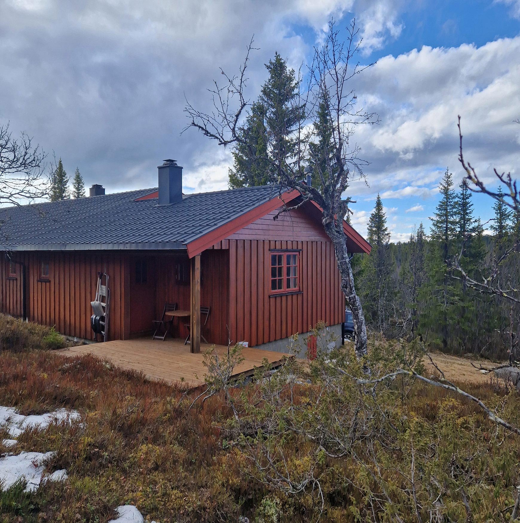 The cabin in the forest. There is a small wooden deck with a table and chairs, and a leafless tree leaning over the house.