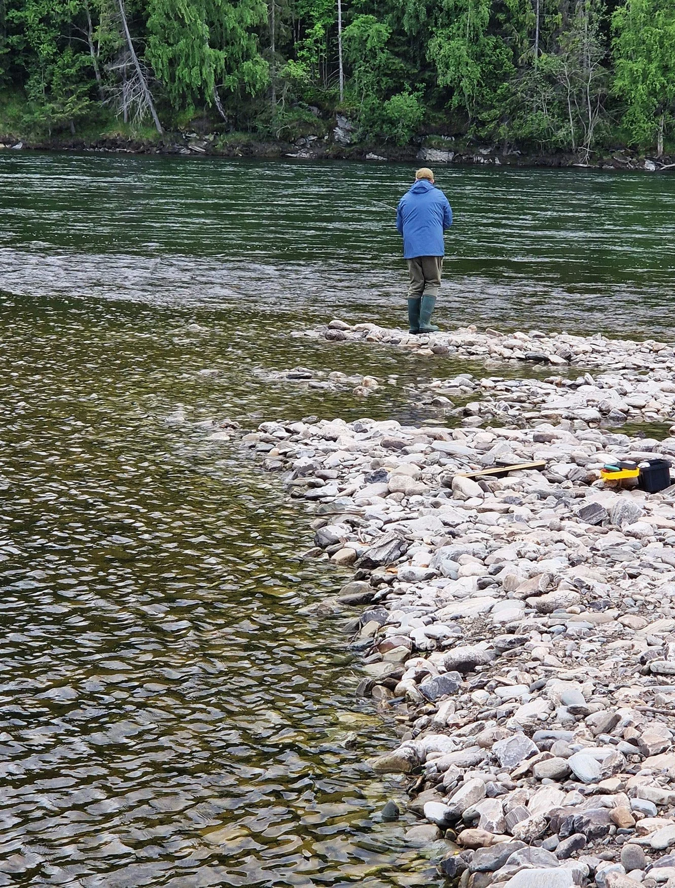 Person standing on a rocky riverbank, fishing in a river surrounded by dense green trees.