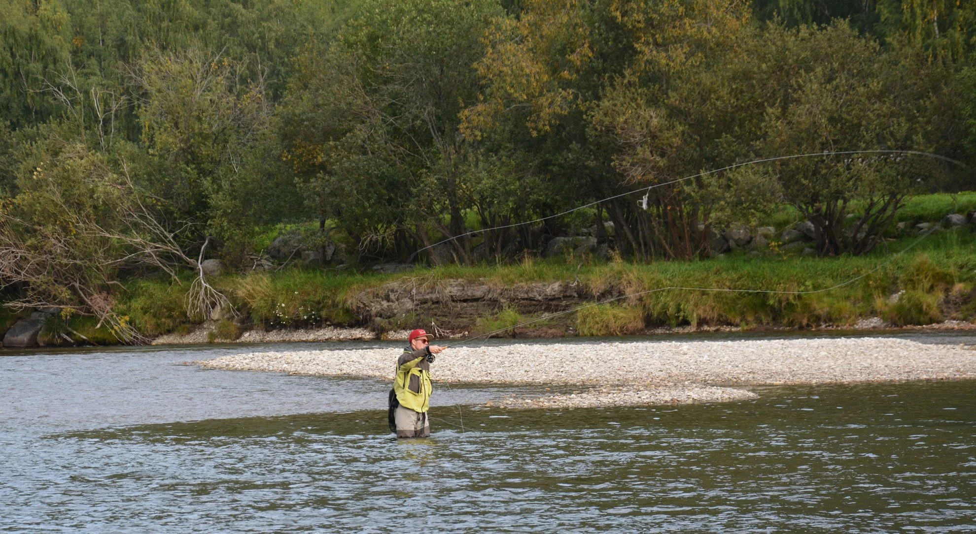 A man fly fishing in a river, standing knee-deep in water, with trees and rocks along the riverbank in the background.