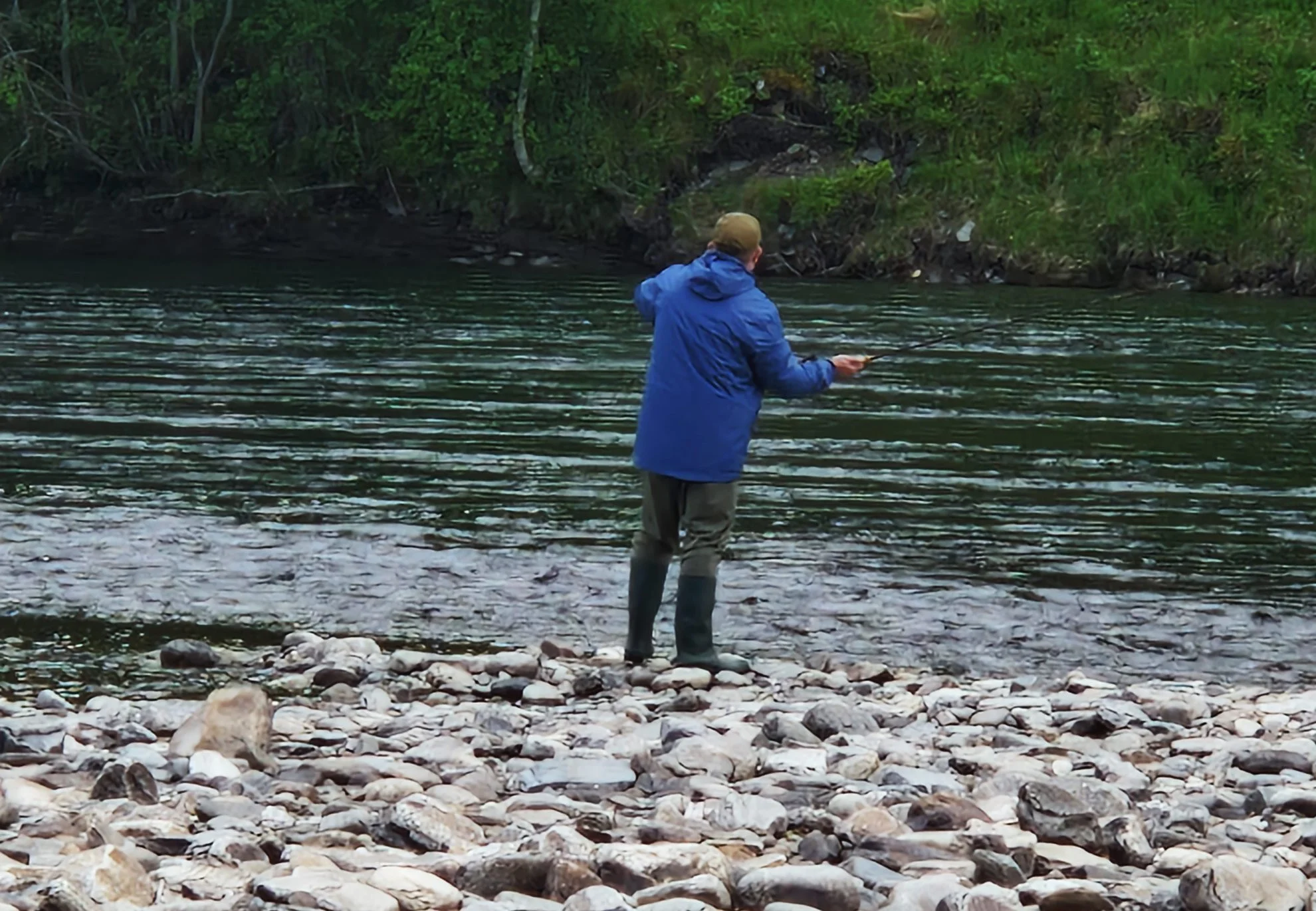 A person in waders fishing by a river on a rocky shore, with a green forest in the background.