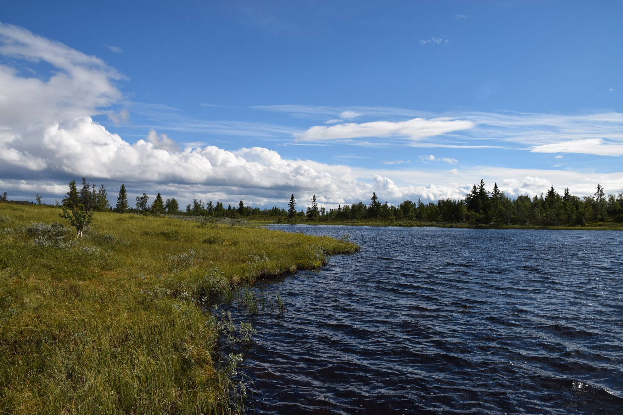 A serene landscape featuring a calm river with gentle ripples, surrounded by lush green grass and small trees, under a partly cloudy sky.