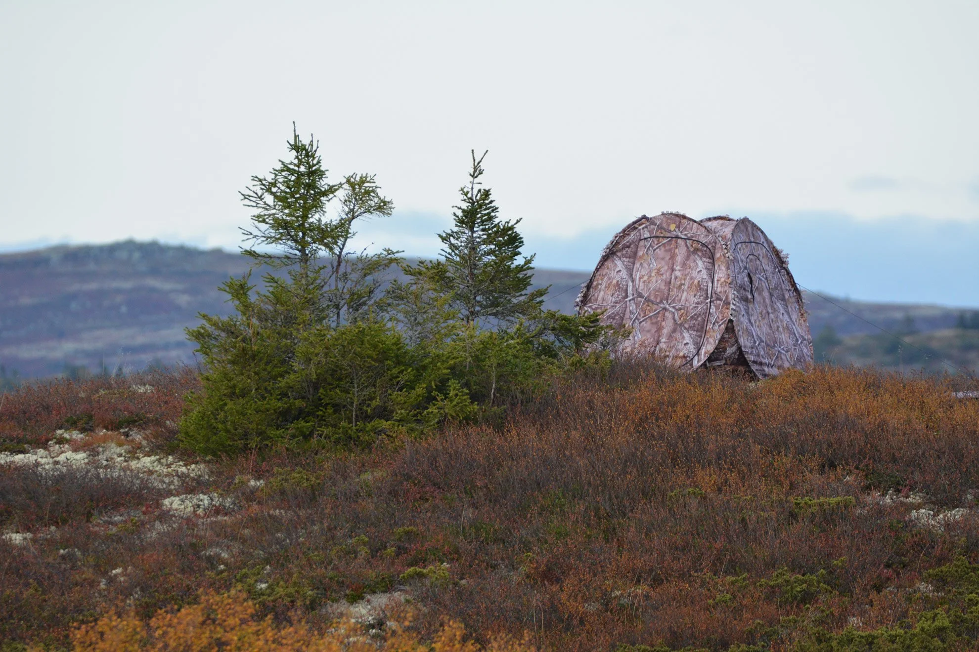 A small photo hide on a hillside, with a backdrop of mountains and a cloudy sky.